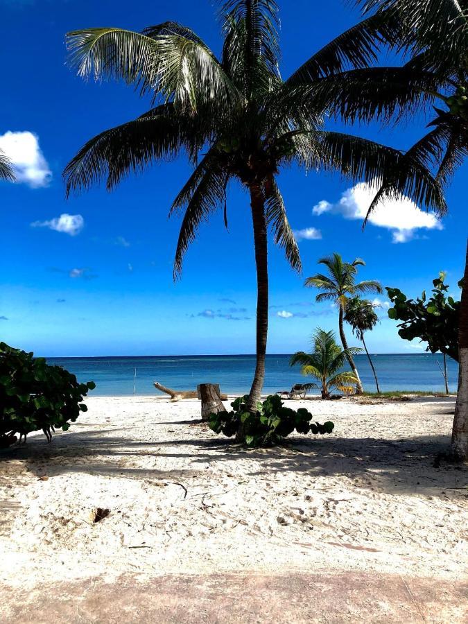 Caribe Dream Private Mahahual