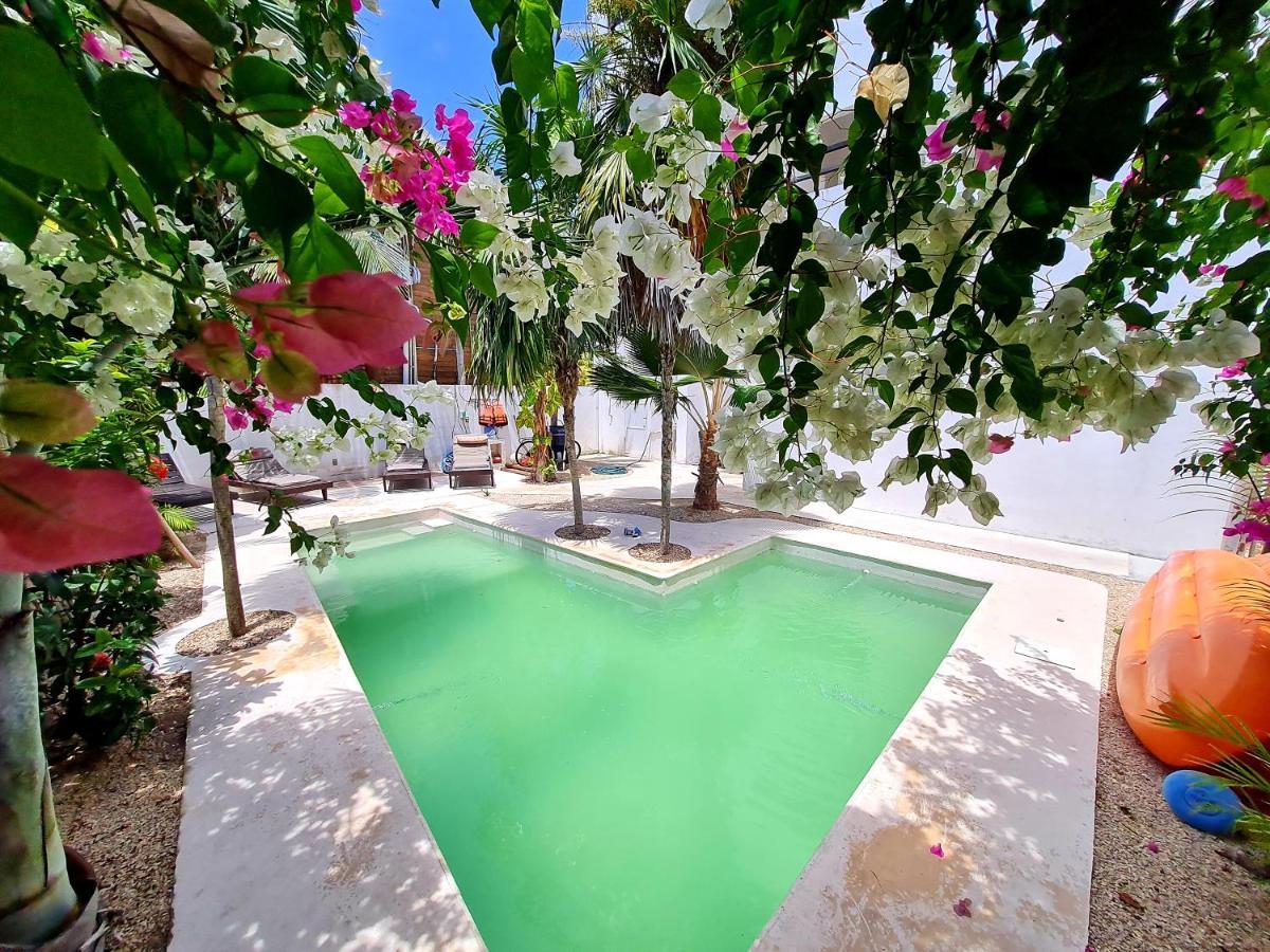 Caribe Dream Private Apartment *