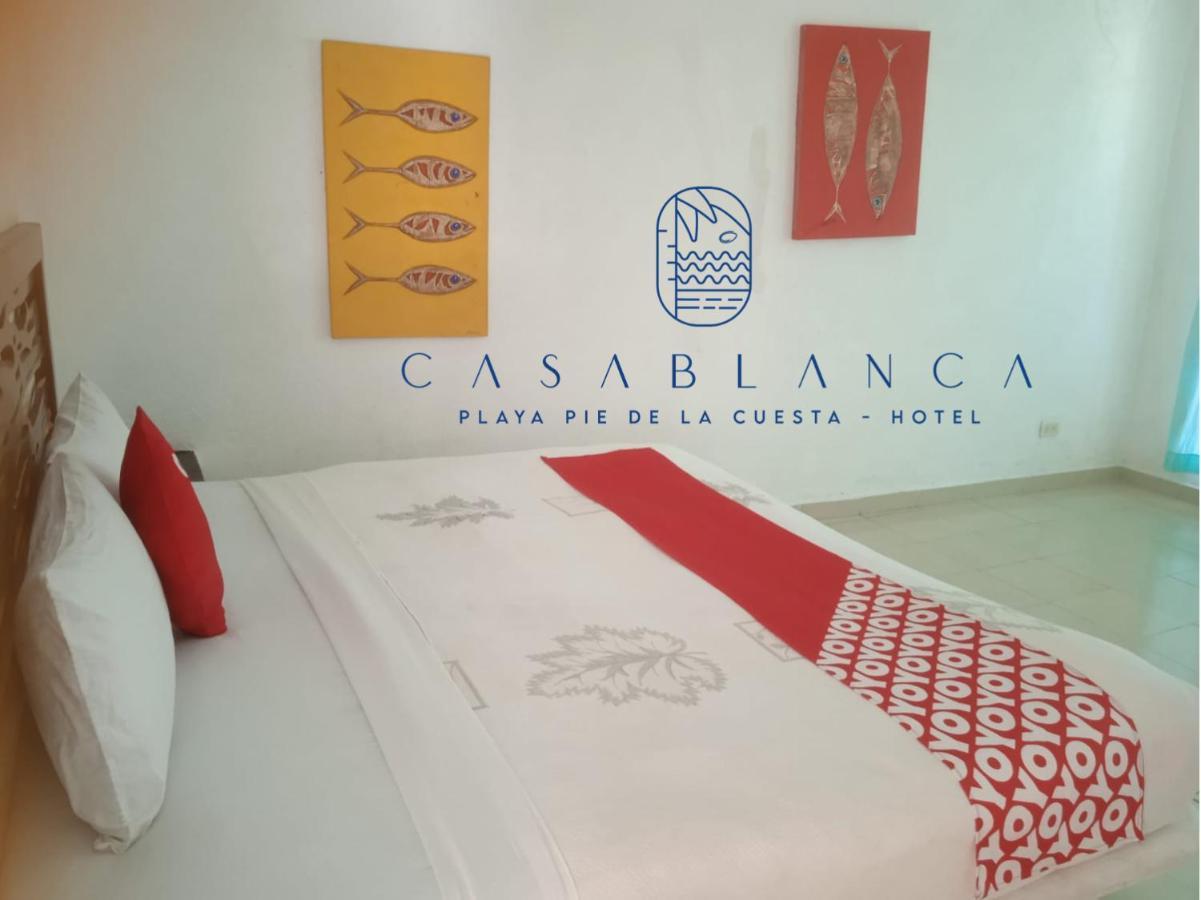 Hotel Paraiso Casa Blanca