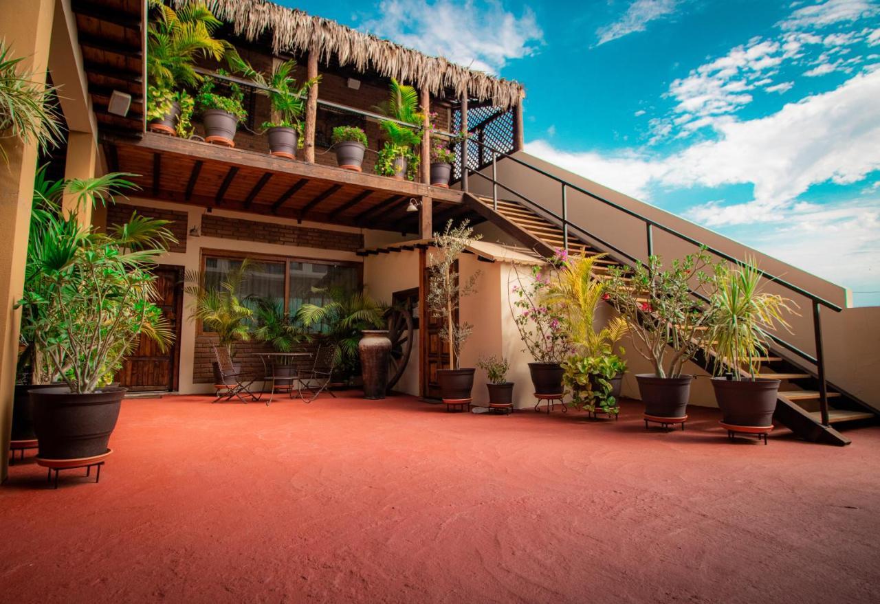 Flores Bed & Breakfast La Paz