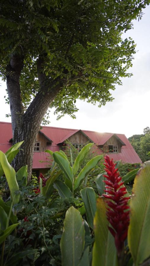 Tonina Kayab Chalet Ocosingo