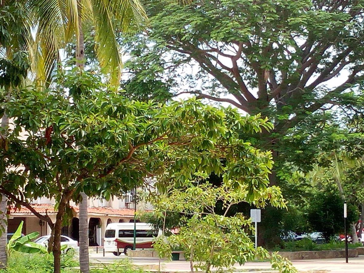 Camino Al Mar