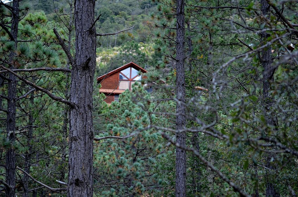 Bosques De Monterreal