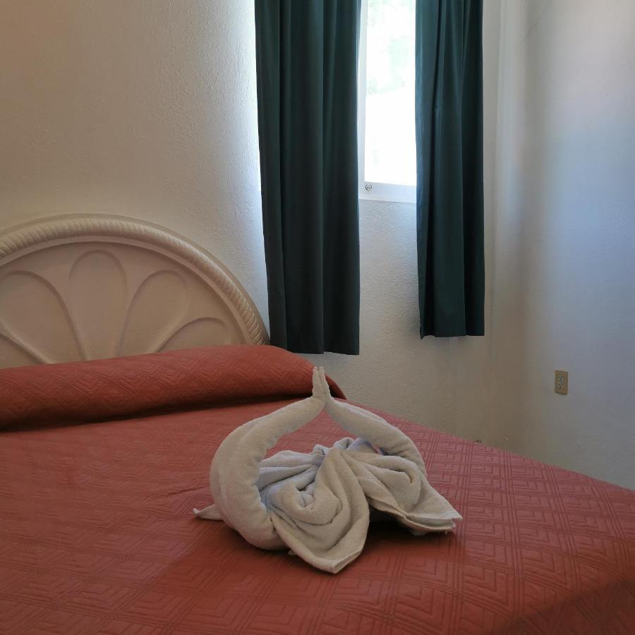 Apartment Large And Comfy Apartment, Near Dt And Principal Beach!