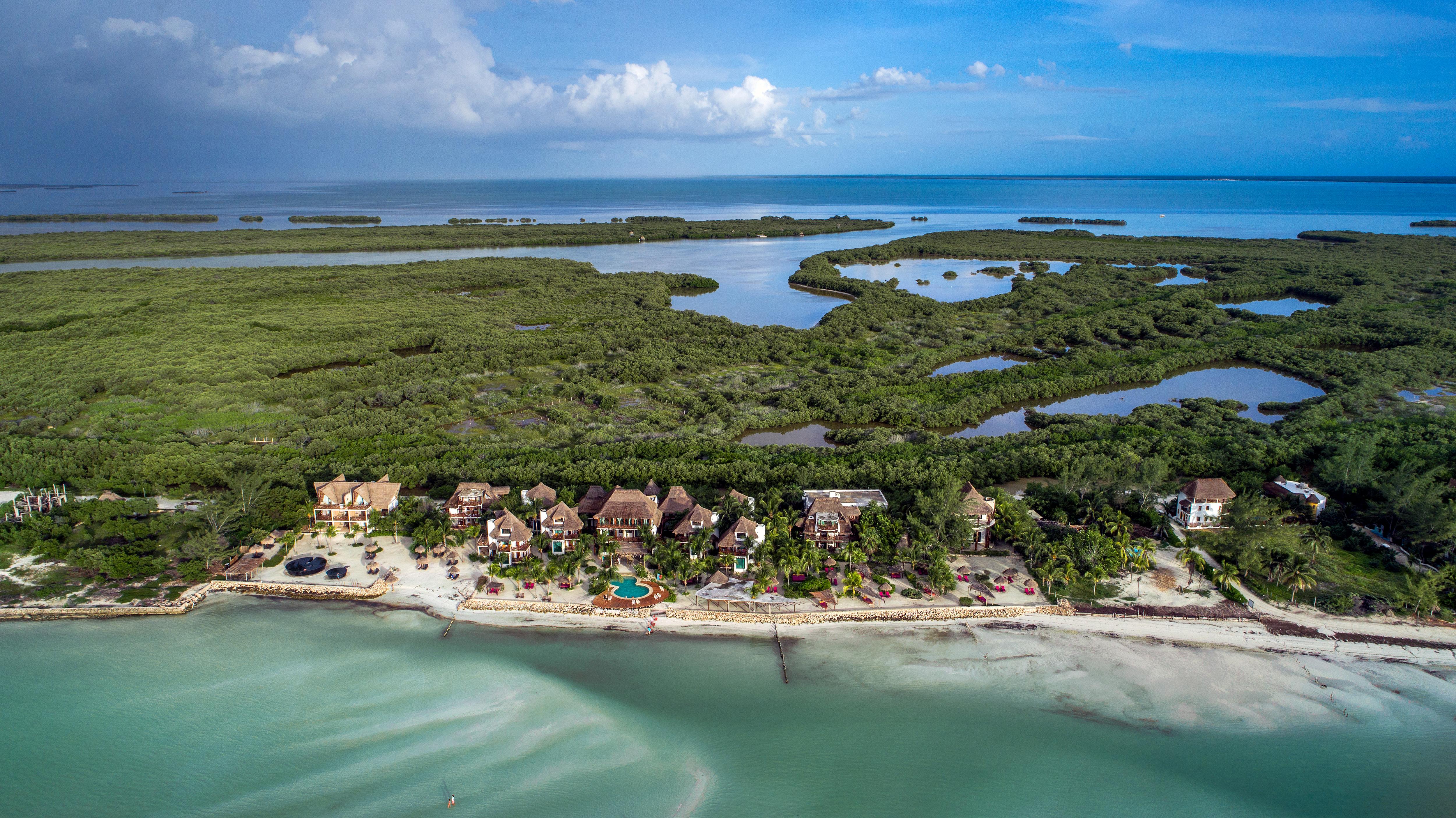 Flamingos Isla Holbox