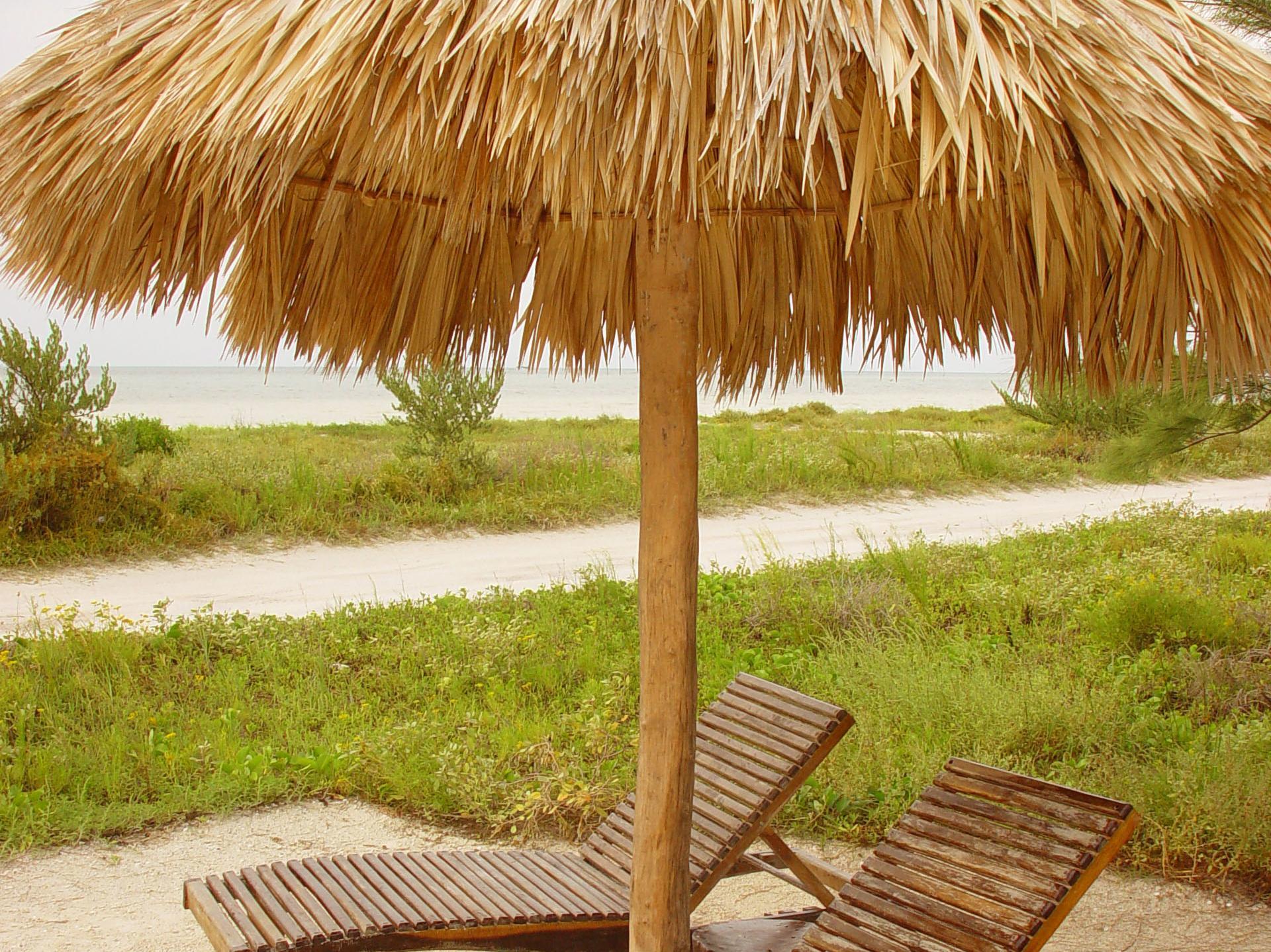 By Xaloc Isla Holbox