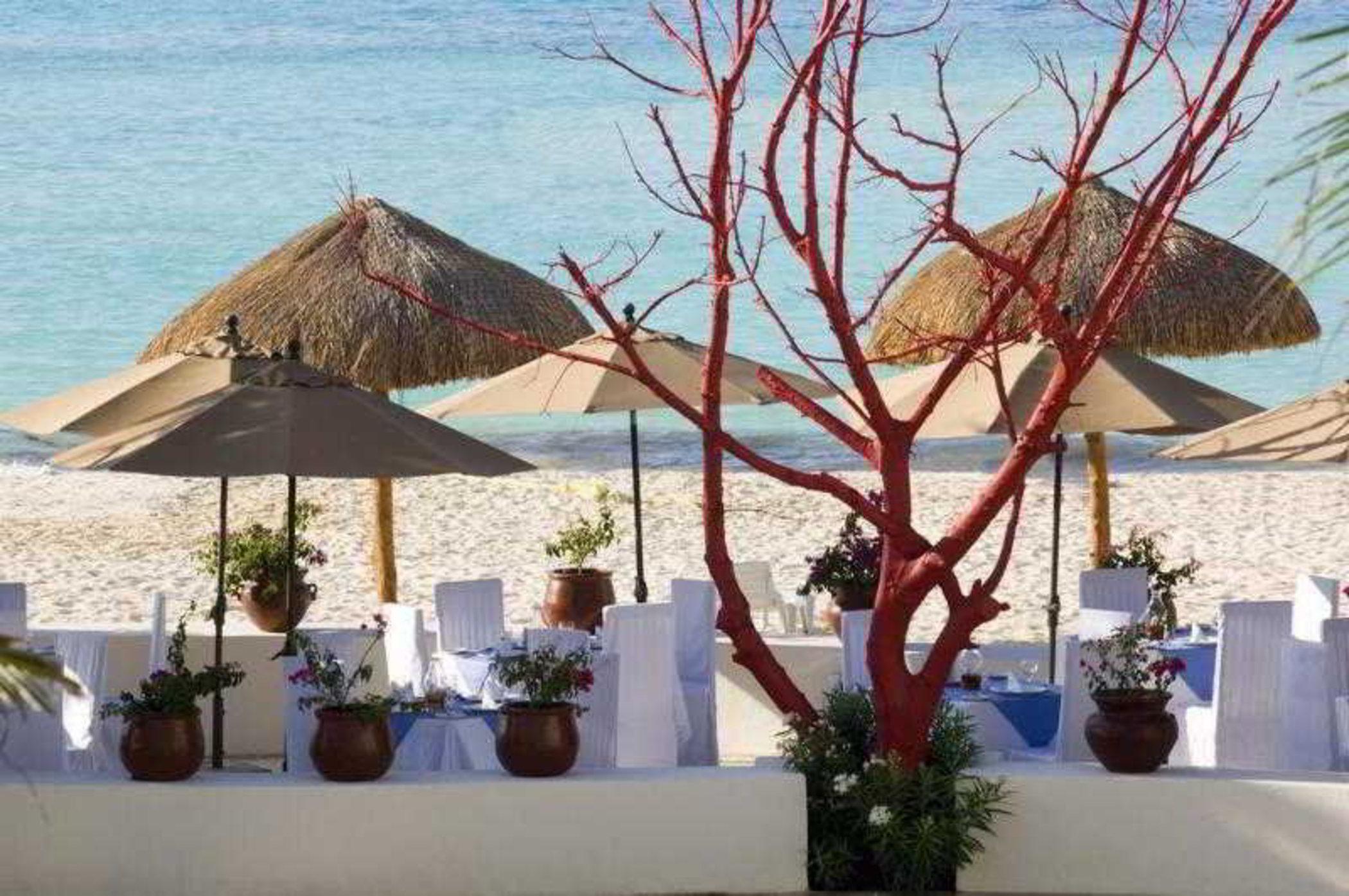 Oasis Palm 4* Cancun