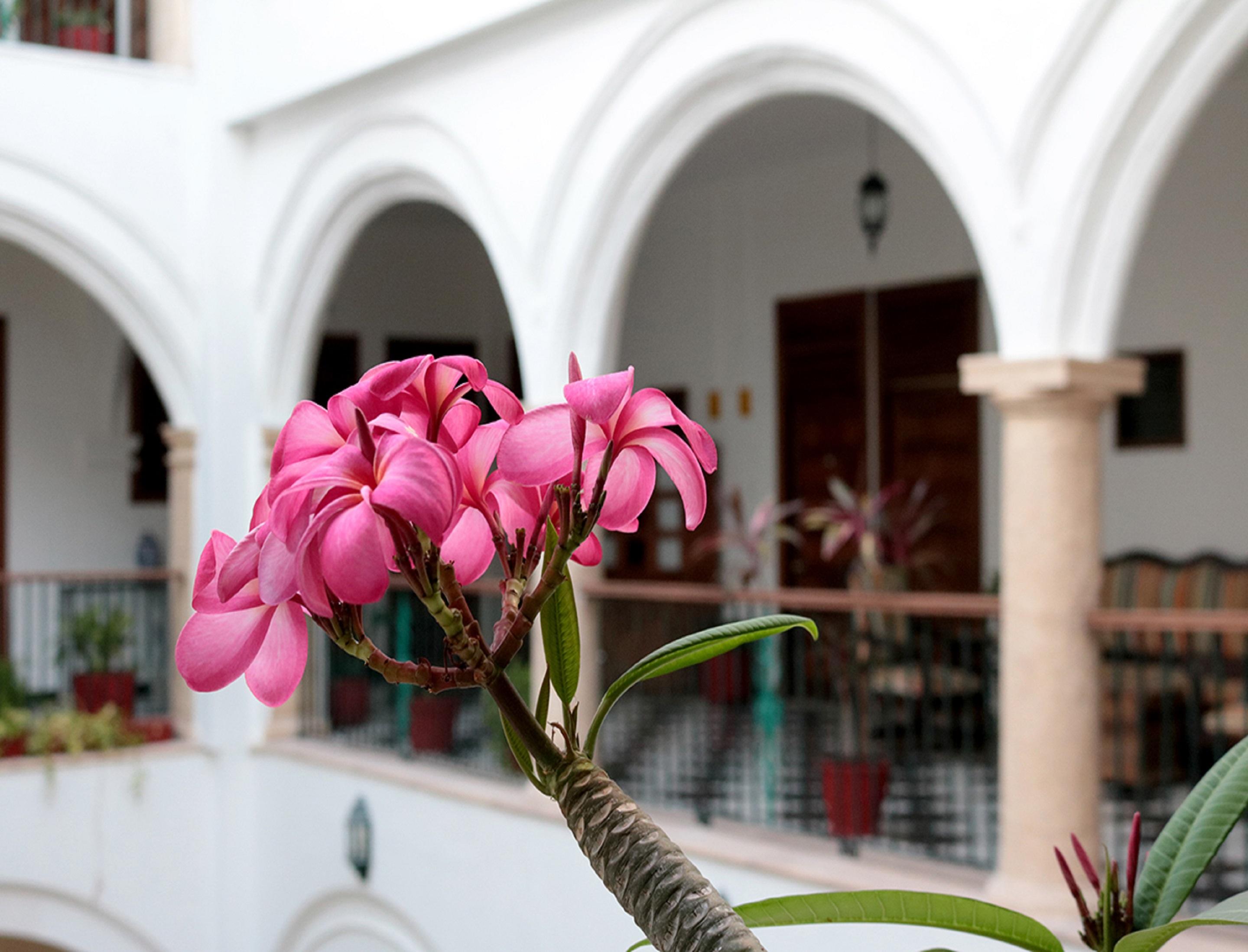 Mision Hotel Campeche