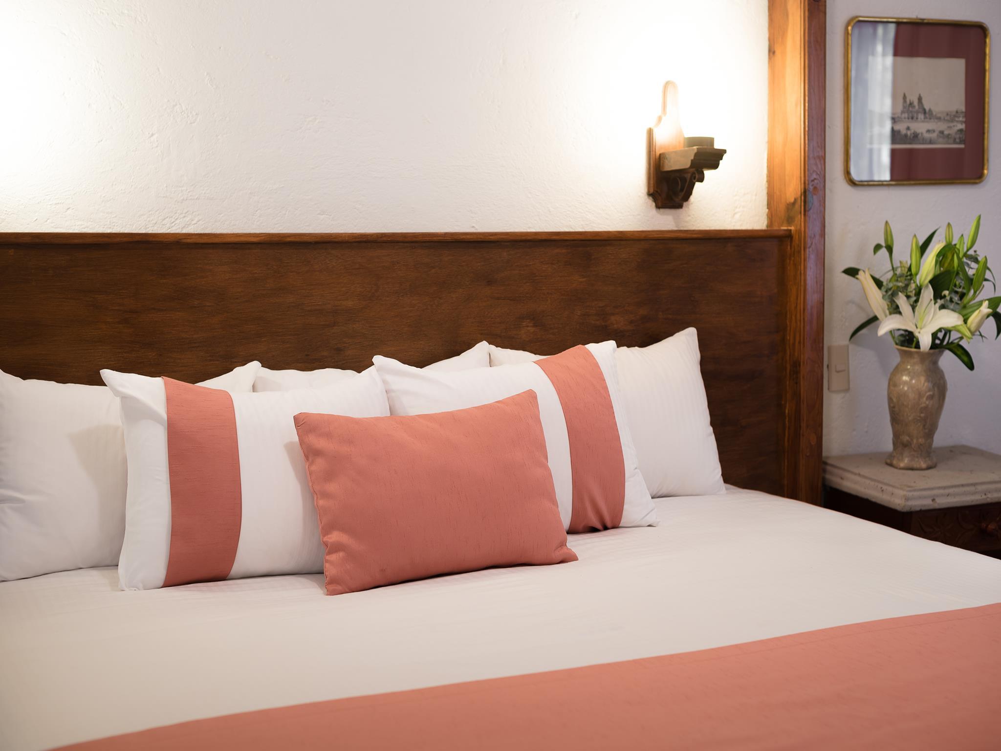 Hotel Mision