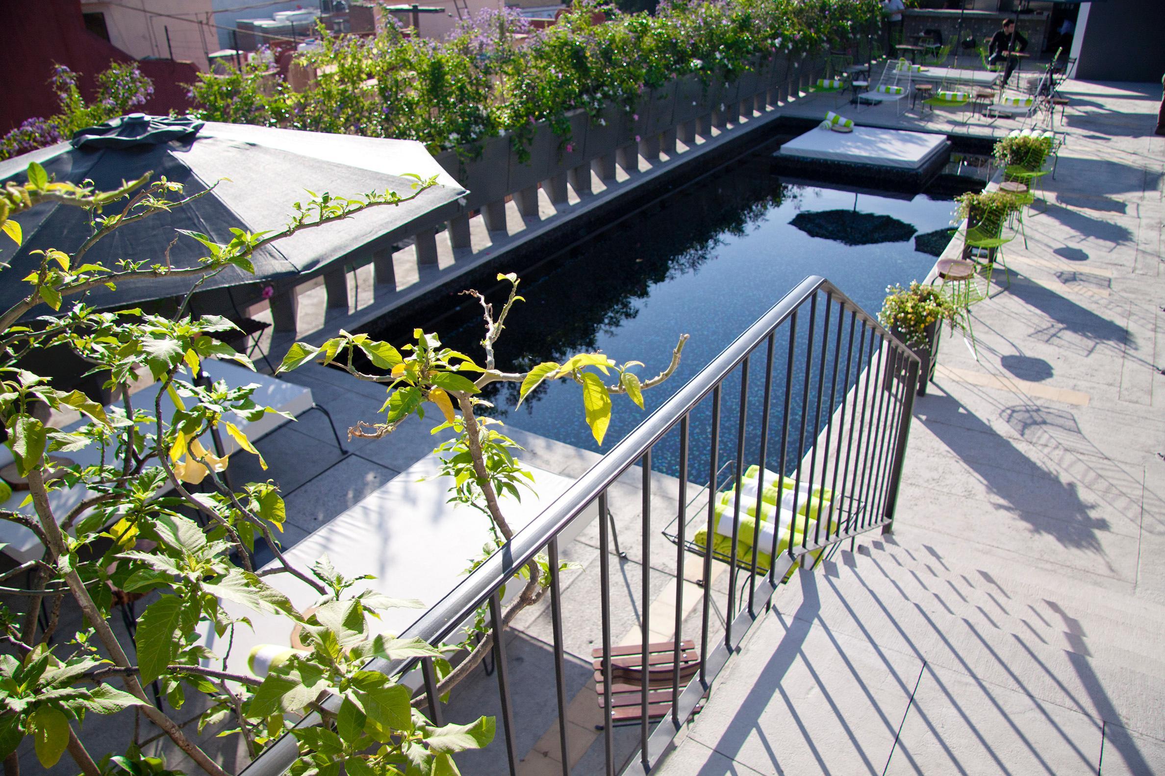 Flor De Mayo Boutique Hotel, & Restaurant (adults Only) Hotel Cuernavaca