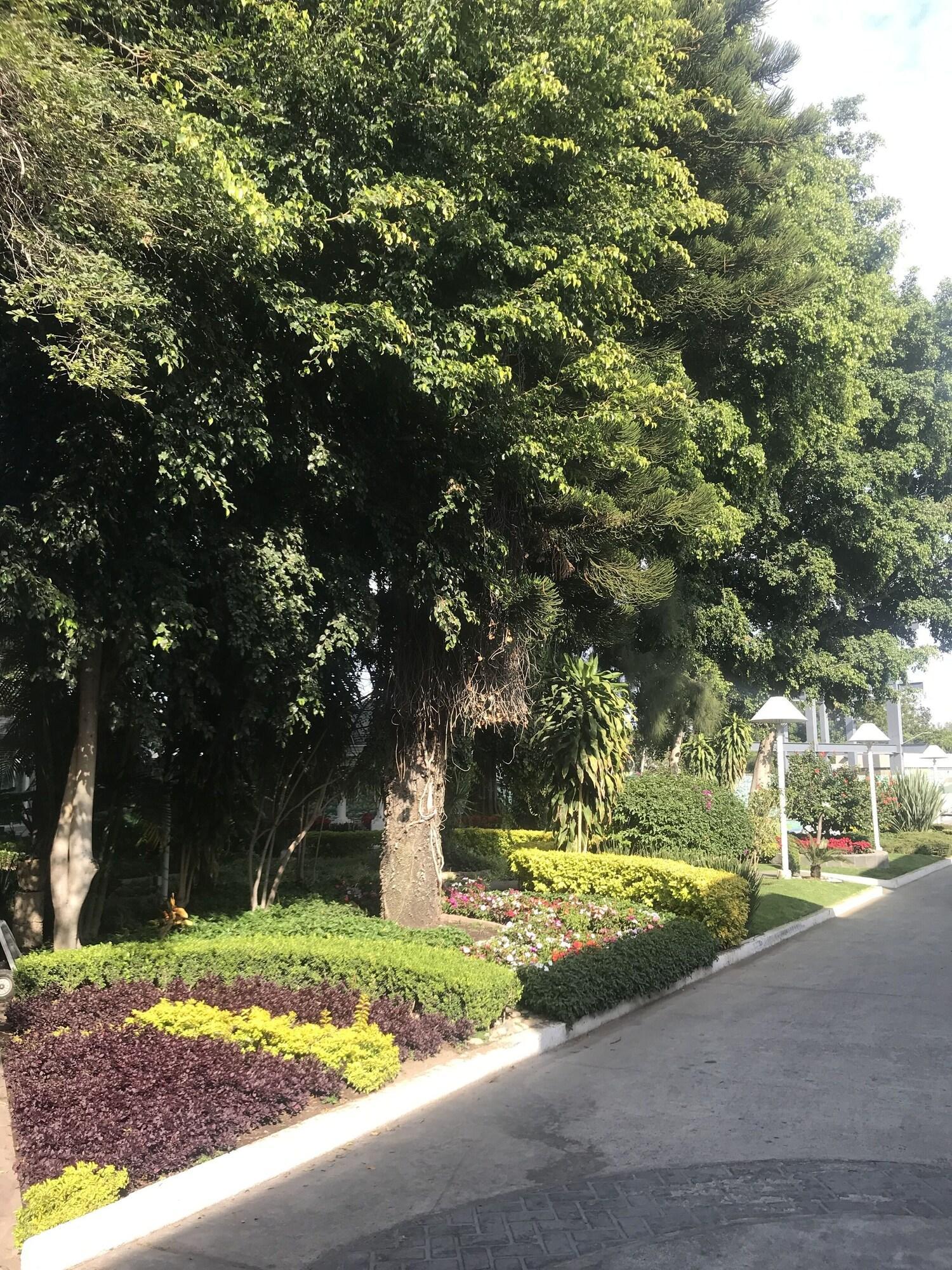Hotel Ronda Minerva Guadalajara