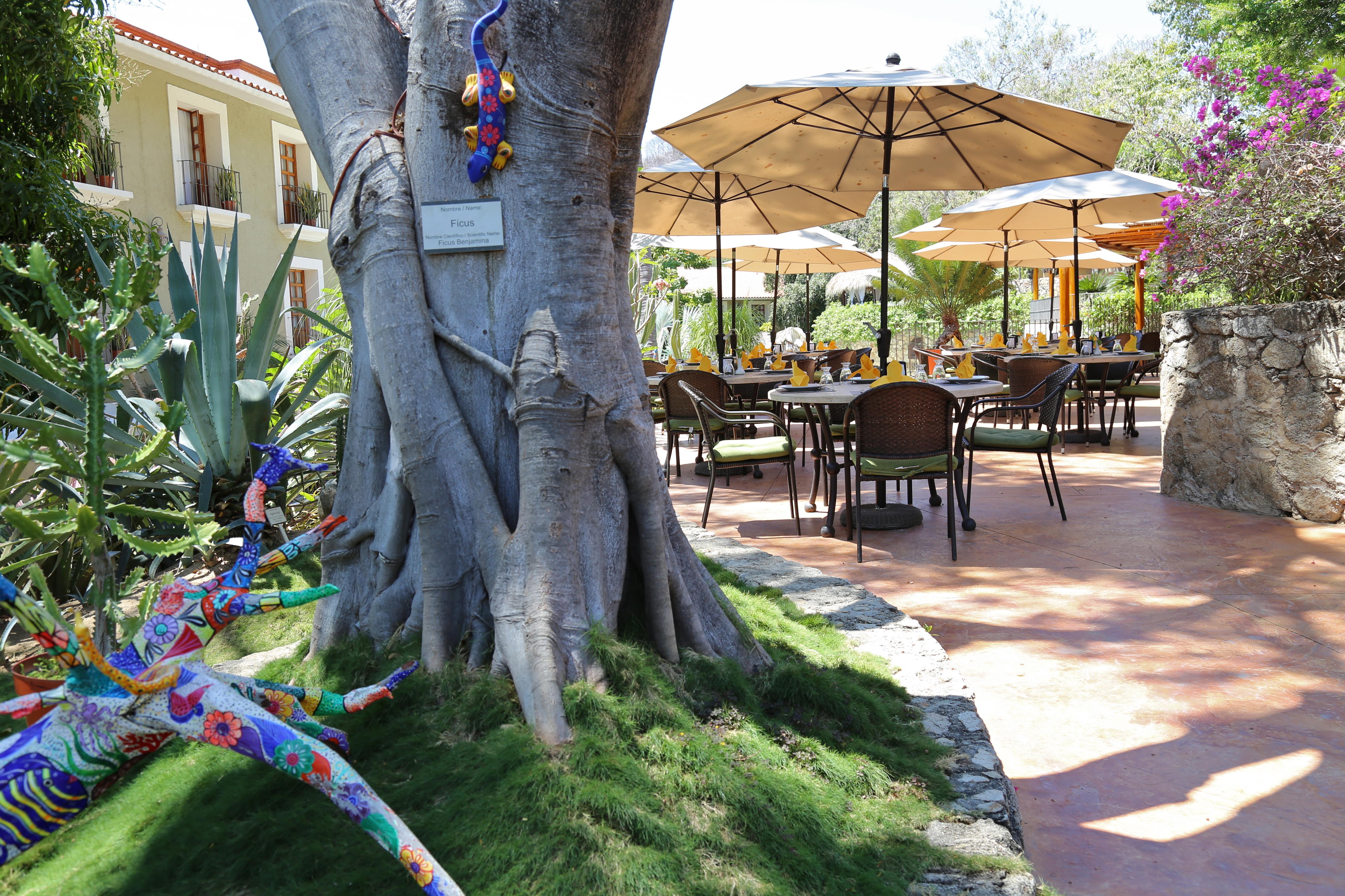 Resort Binniguenda & Club Huatulco