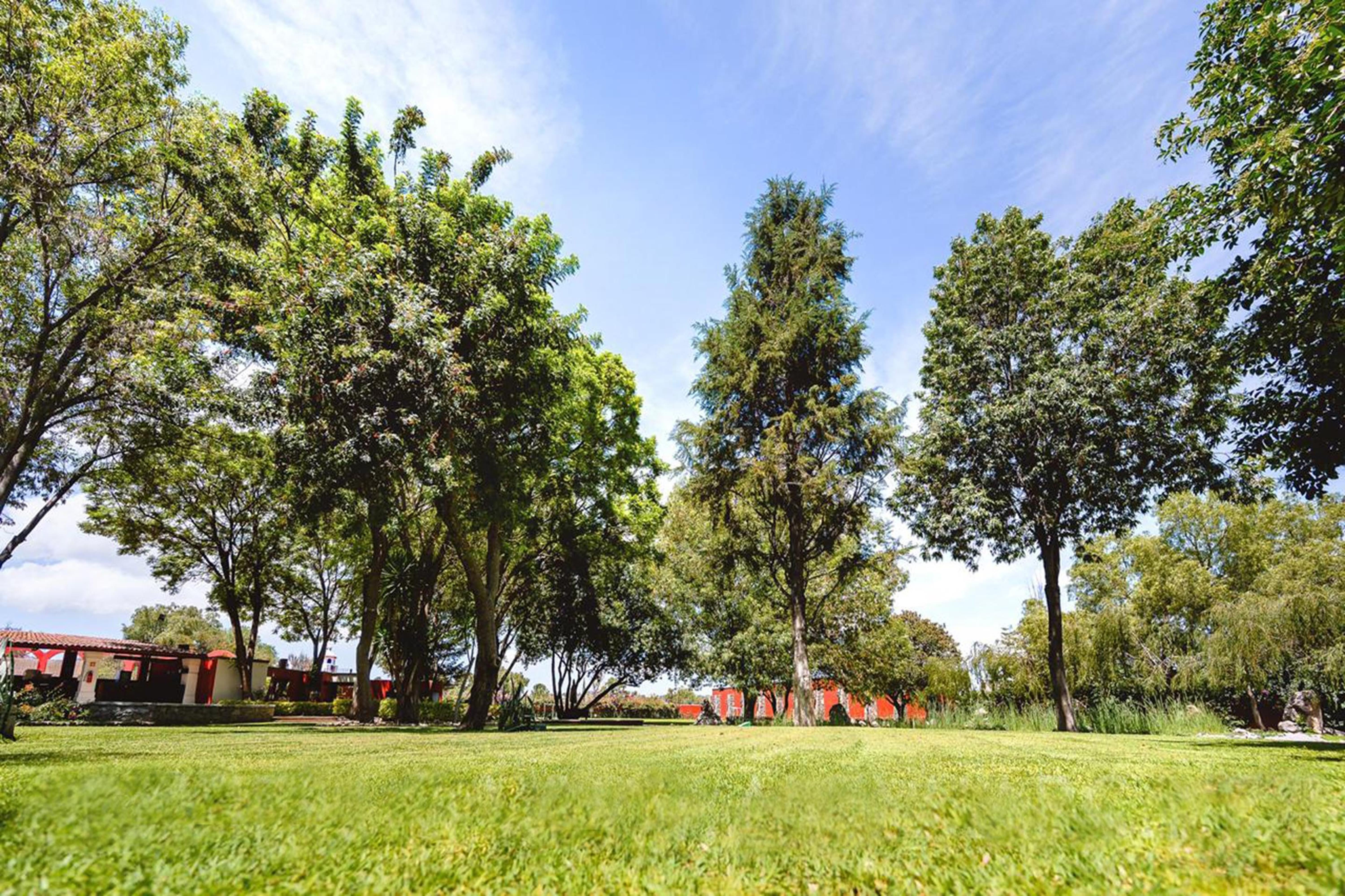 Hotel Real De Minas