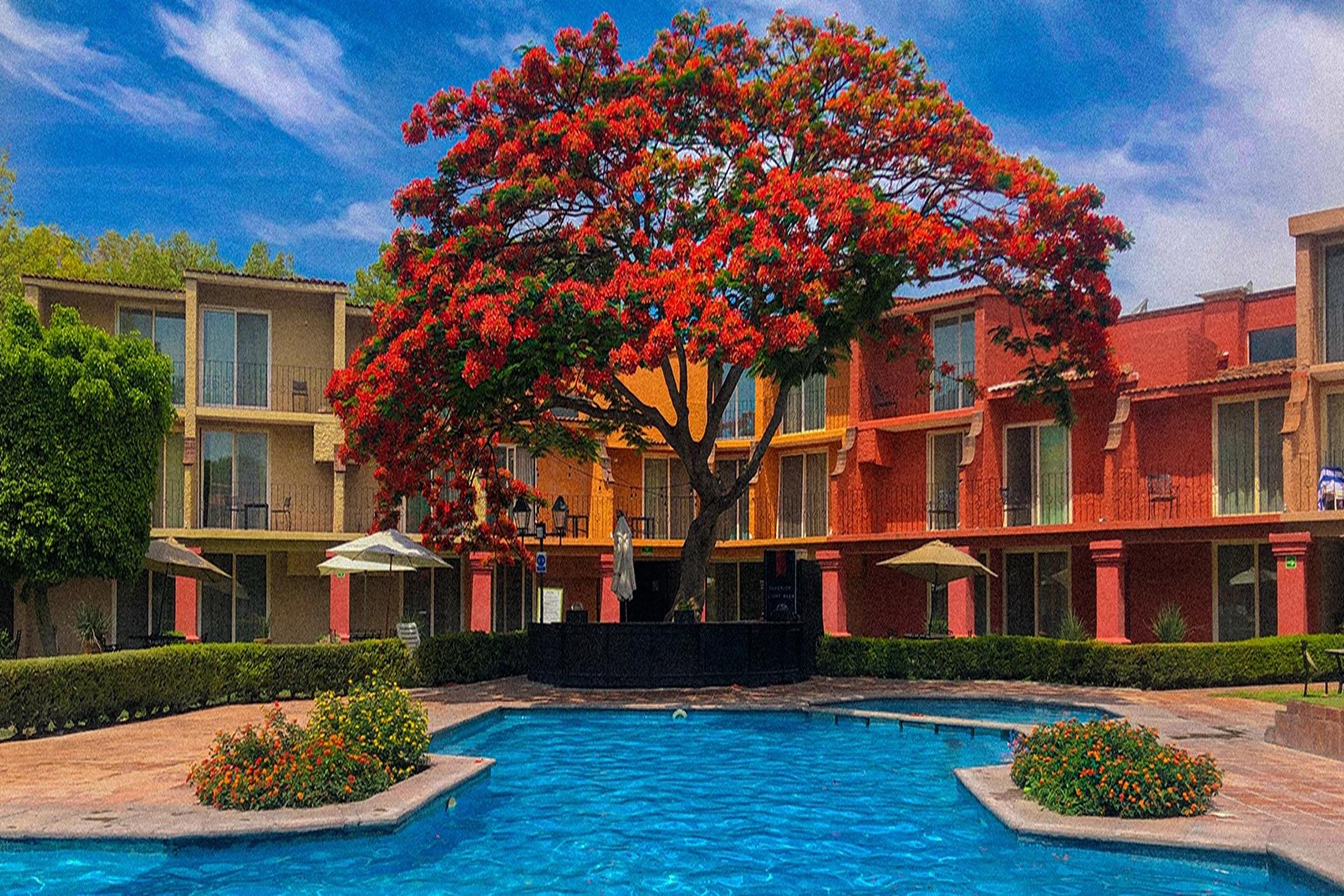 Real De Minas Hotel 5*