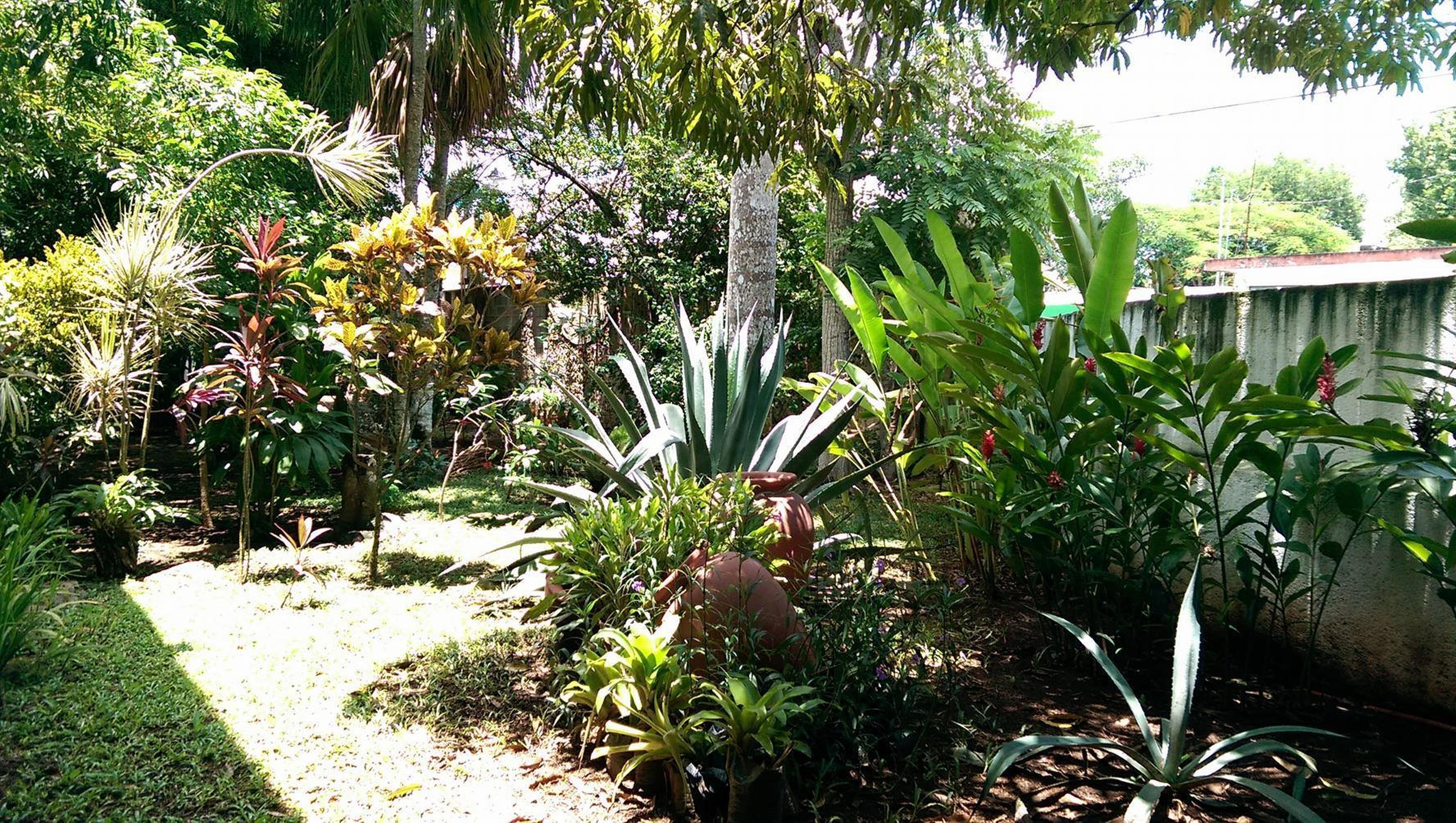 Hotel Ecotel Quinta Regia