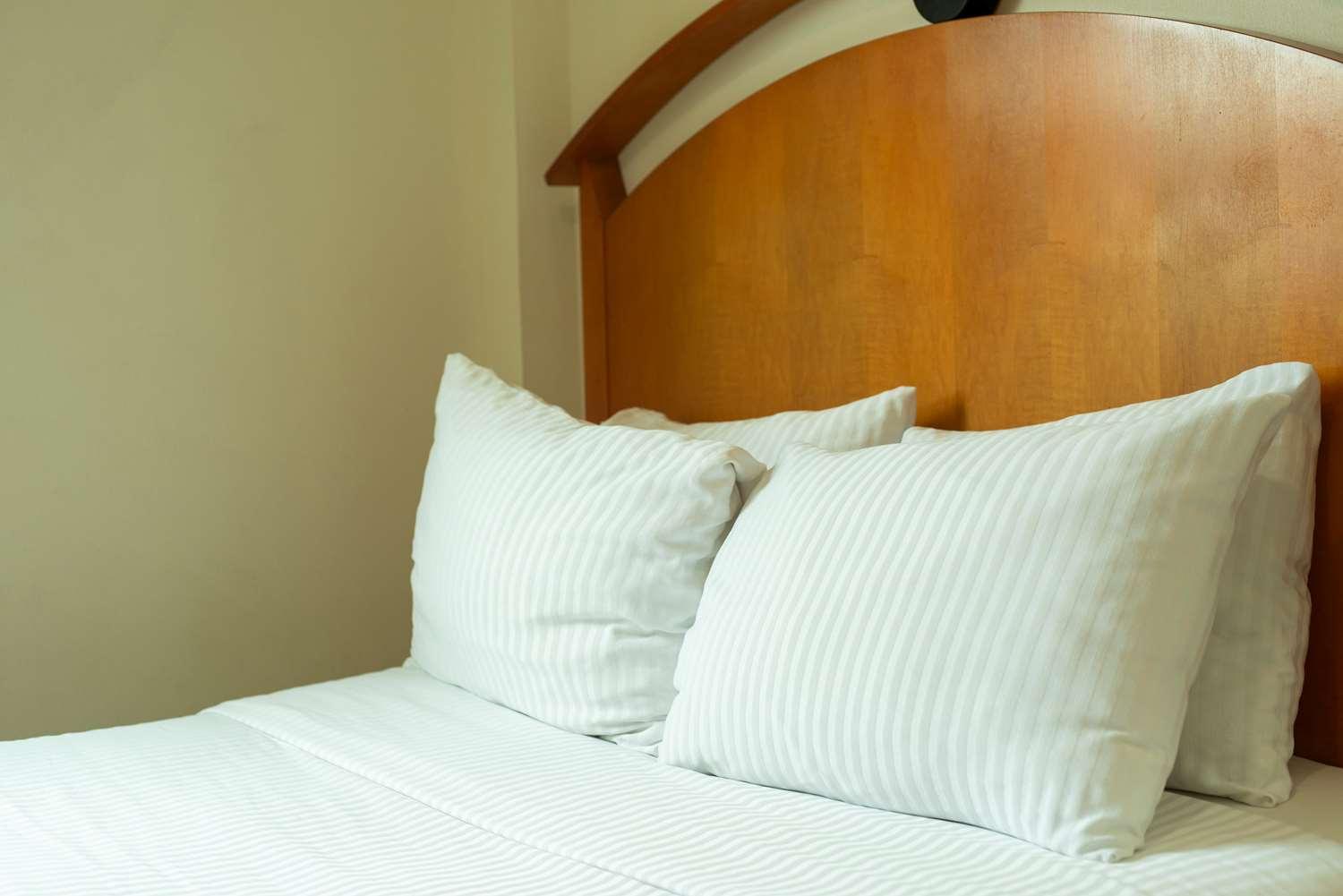 Hotel Western Centro