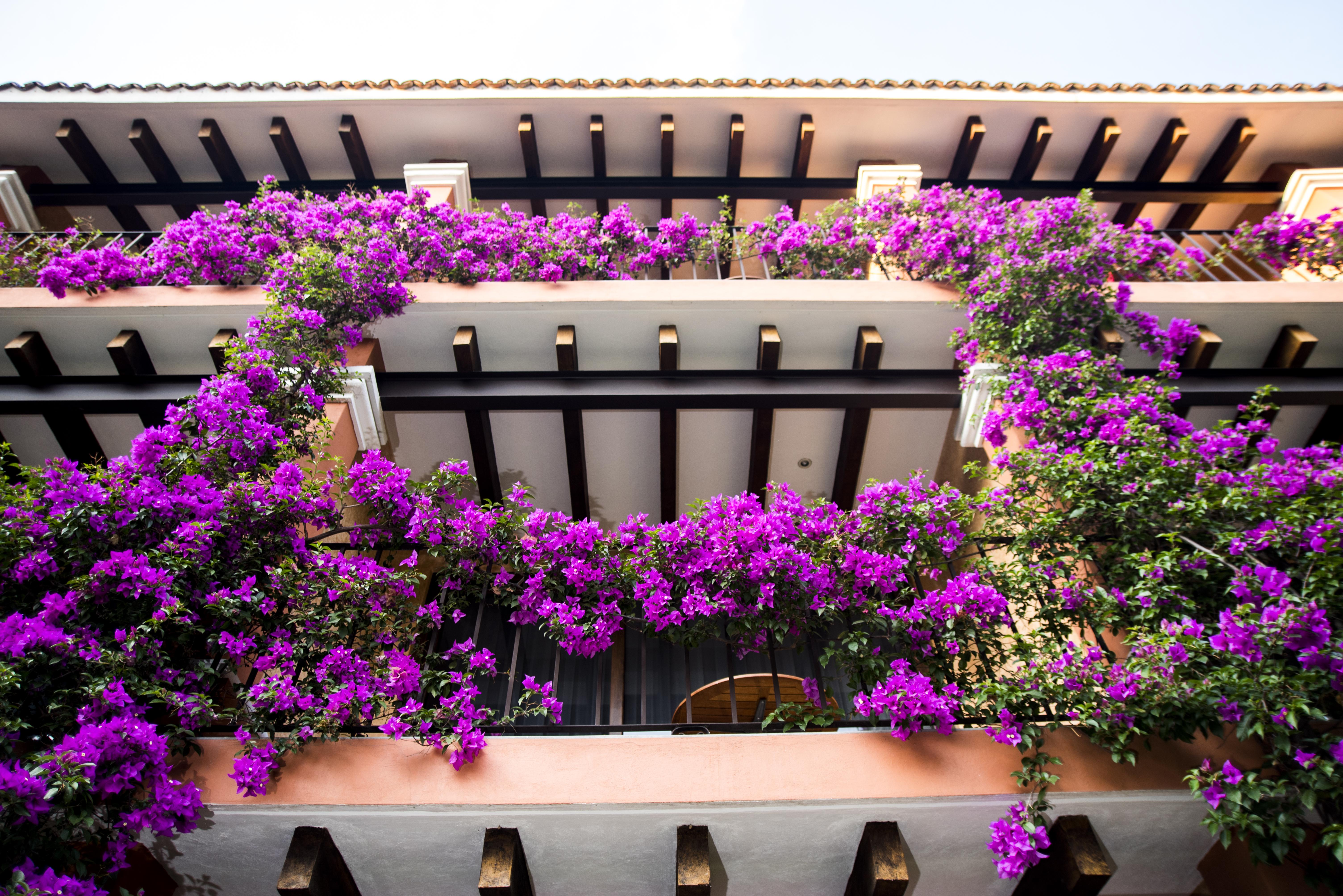 Hotel Restaurante Bar Cuernavaca