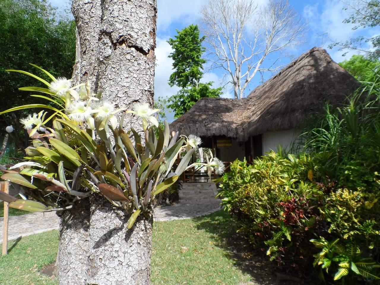 Ecovillage