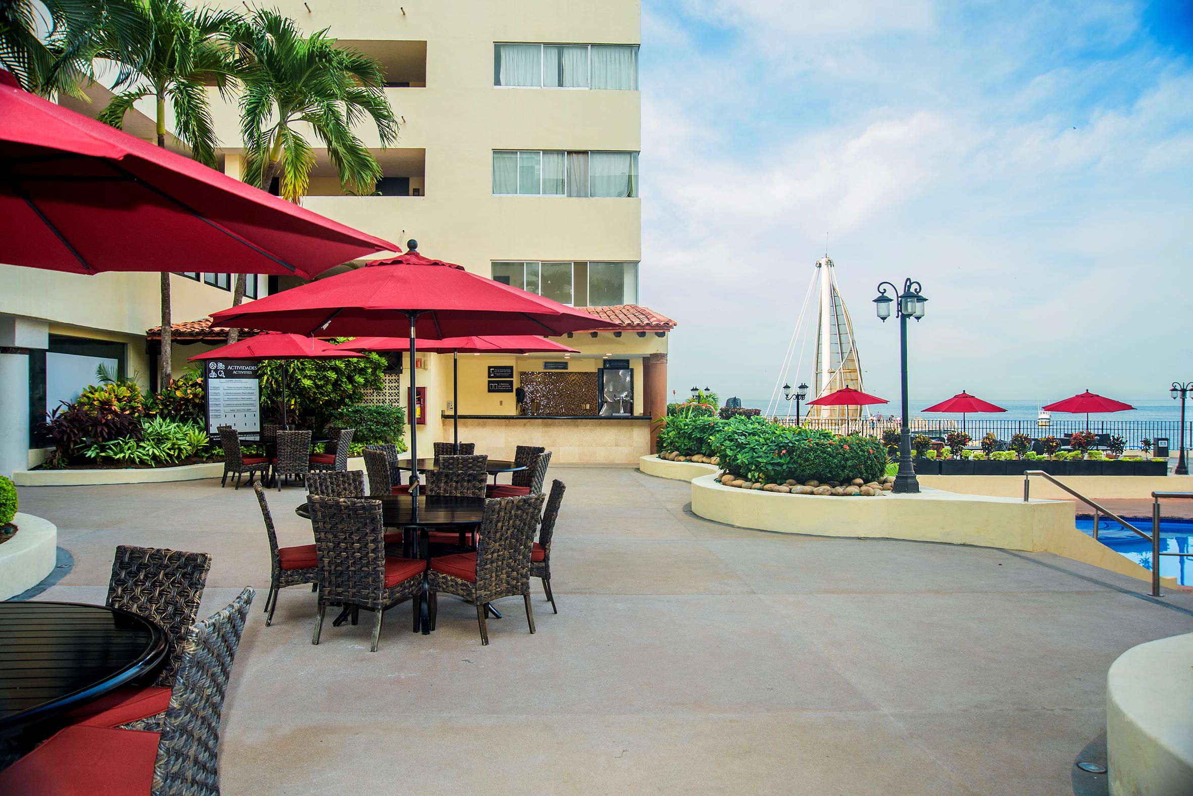 Delfin Puerto Vallarta