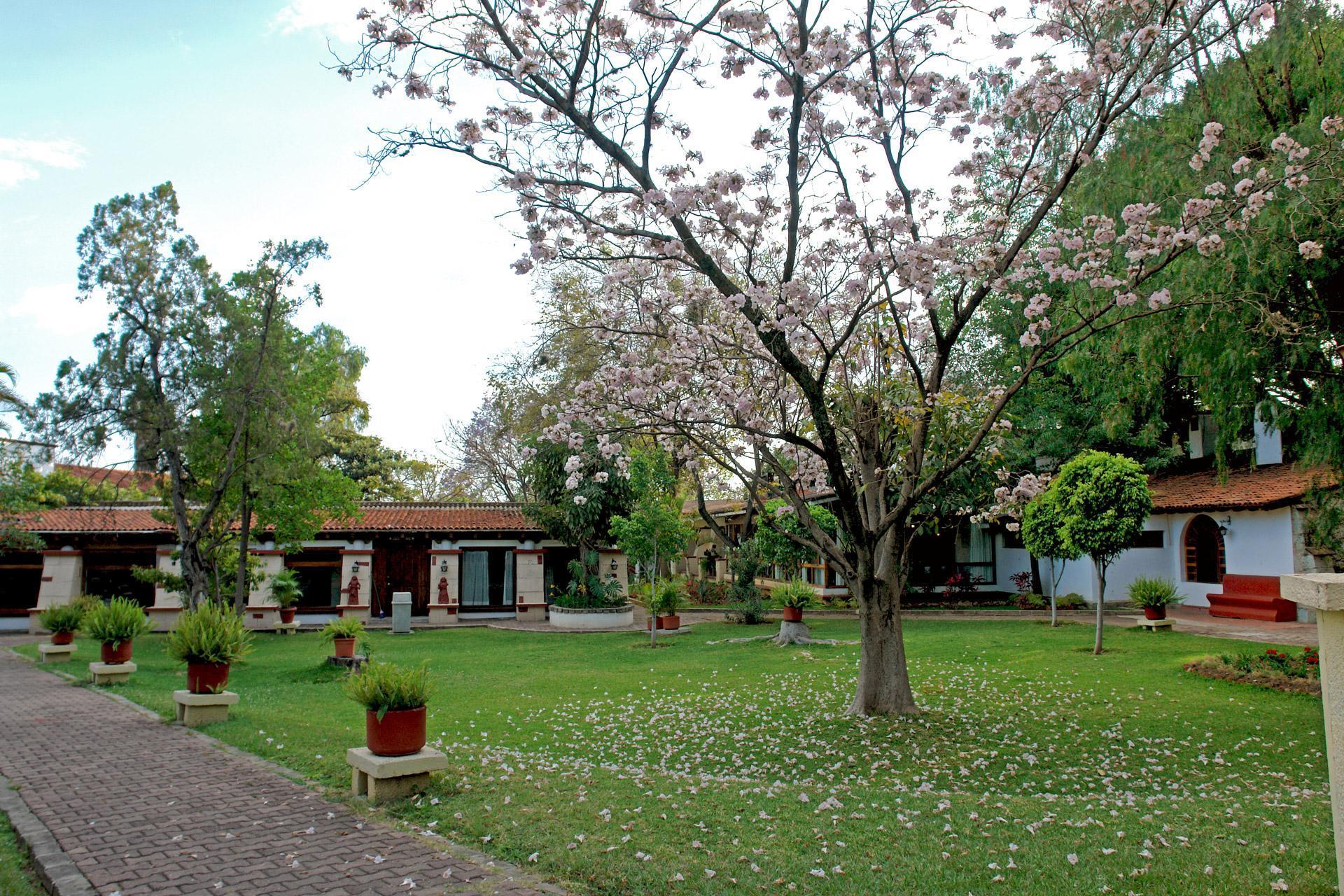 Mision De Angeles Hotel