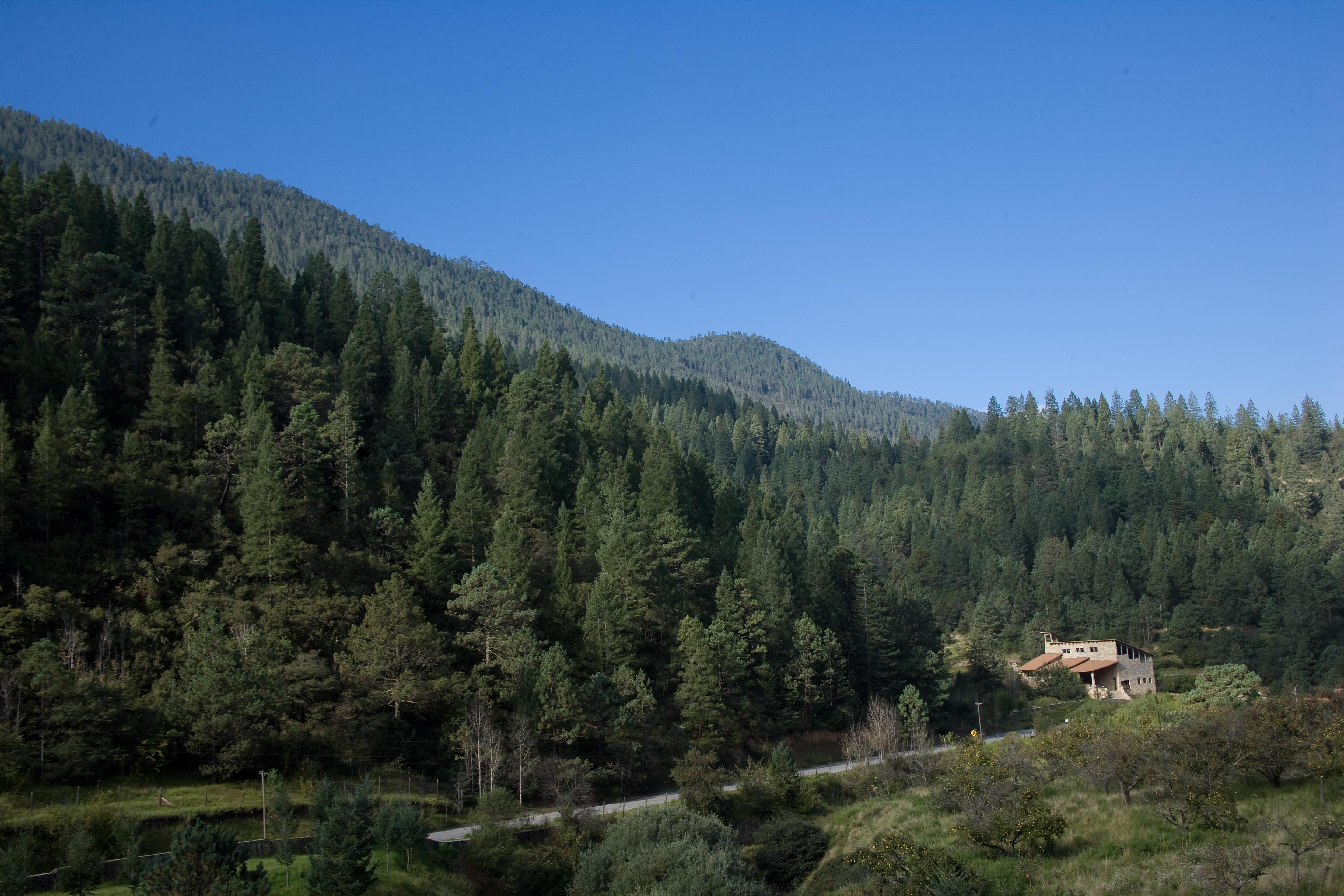 Bosques De Monterreal 5*