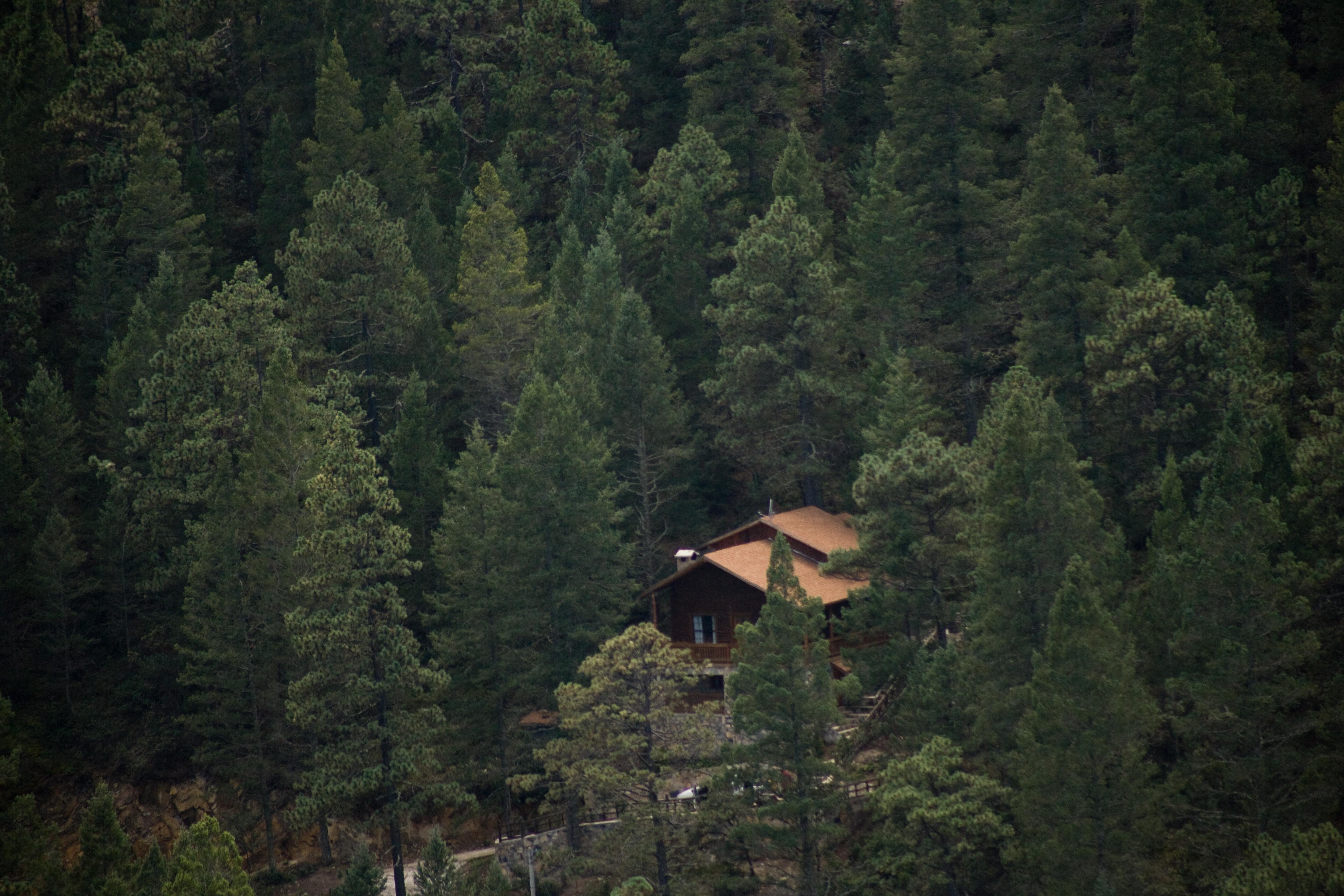 Hotel Bosques De Monterreal 5*