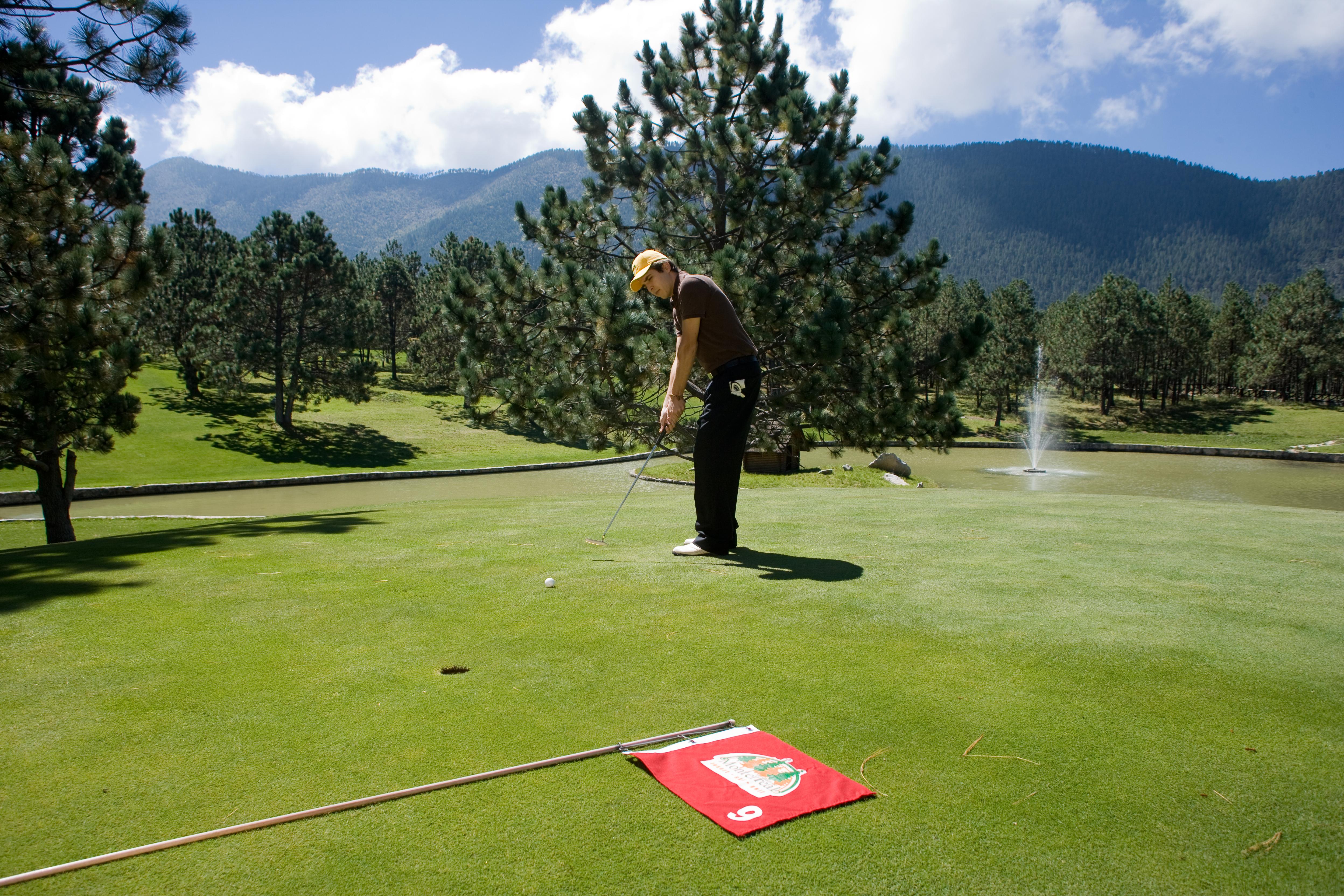 Hotel Bosques De Monterreal