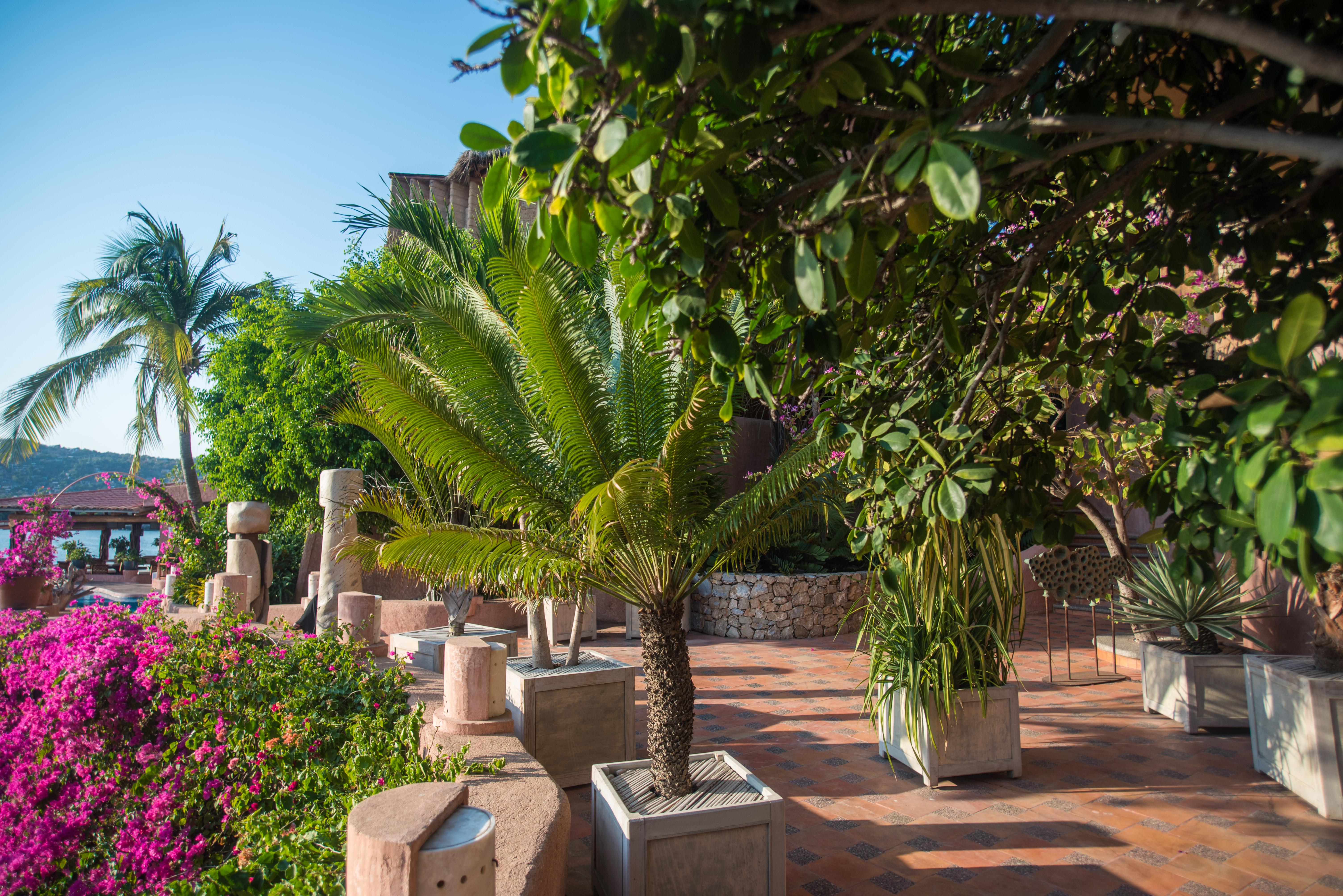 La Casa Que Canta (adults Only) Zihuatanejo