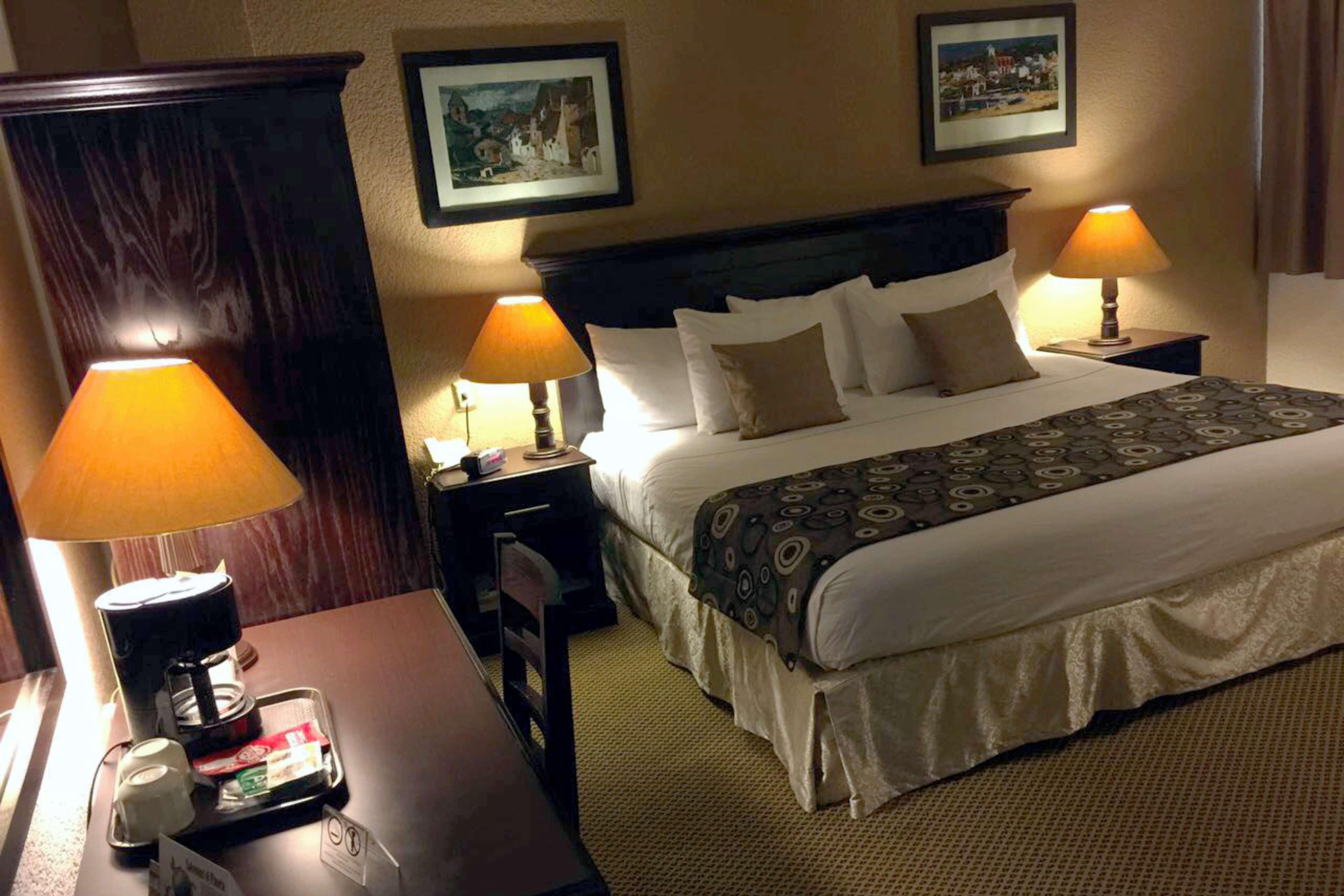 Hotel Western Del Rio 3*