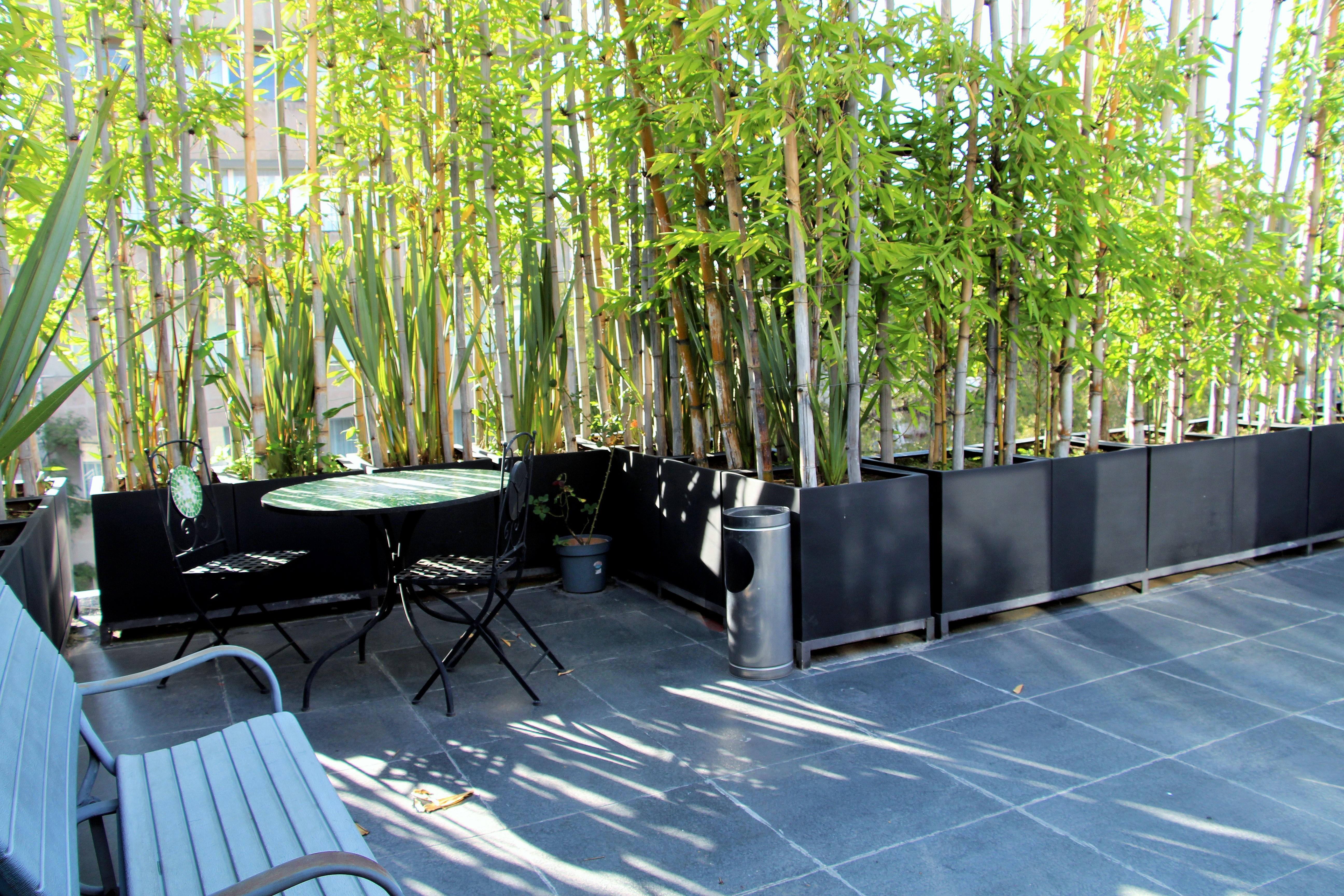 Aparthotel L' Heritage Hipolito Taine By Bluebay Mexico City