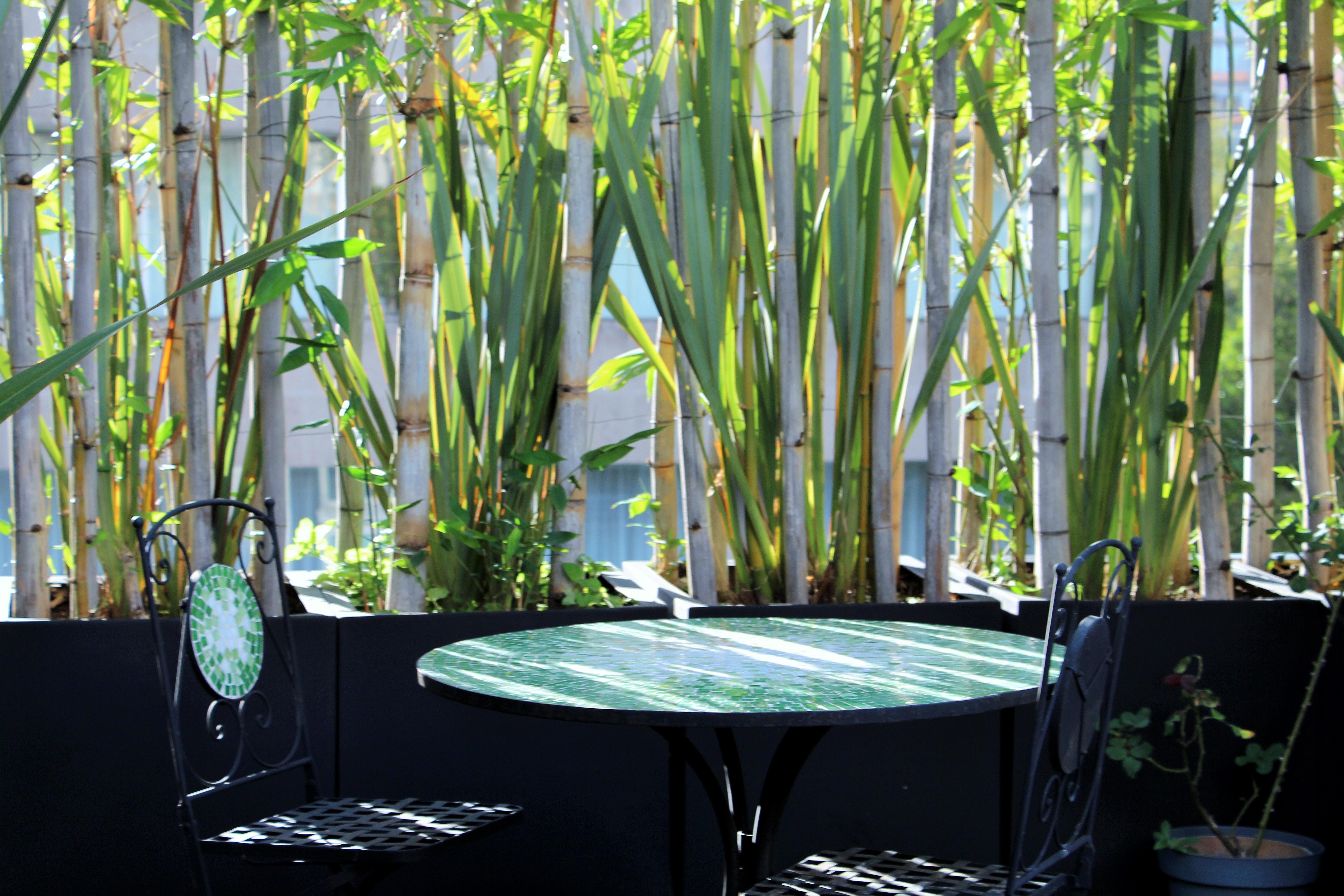 L' Heritage Hipolito Taine By Bluebay Aparthotel Mexico City
