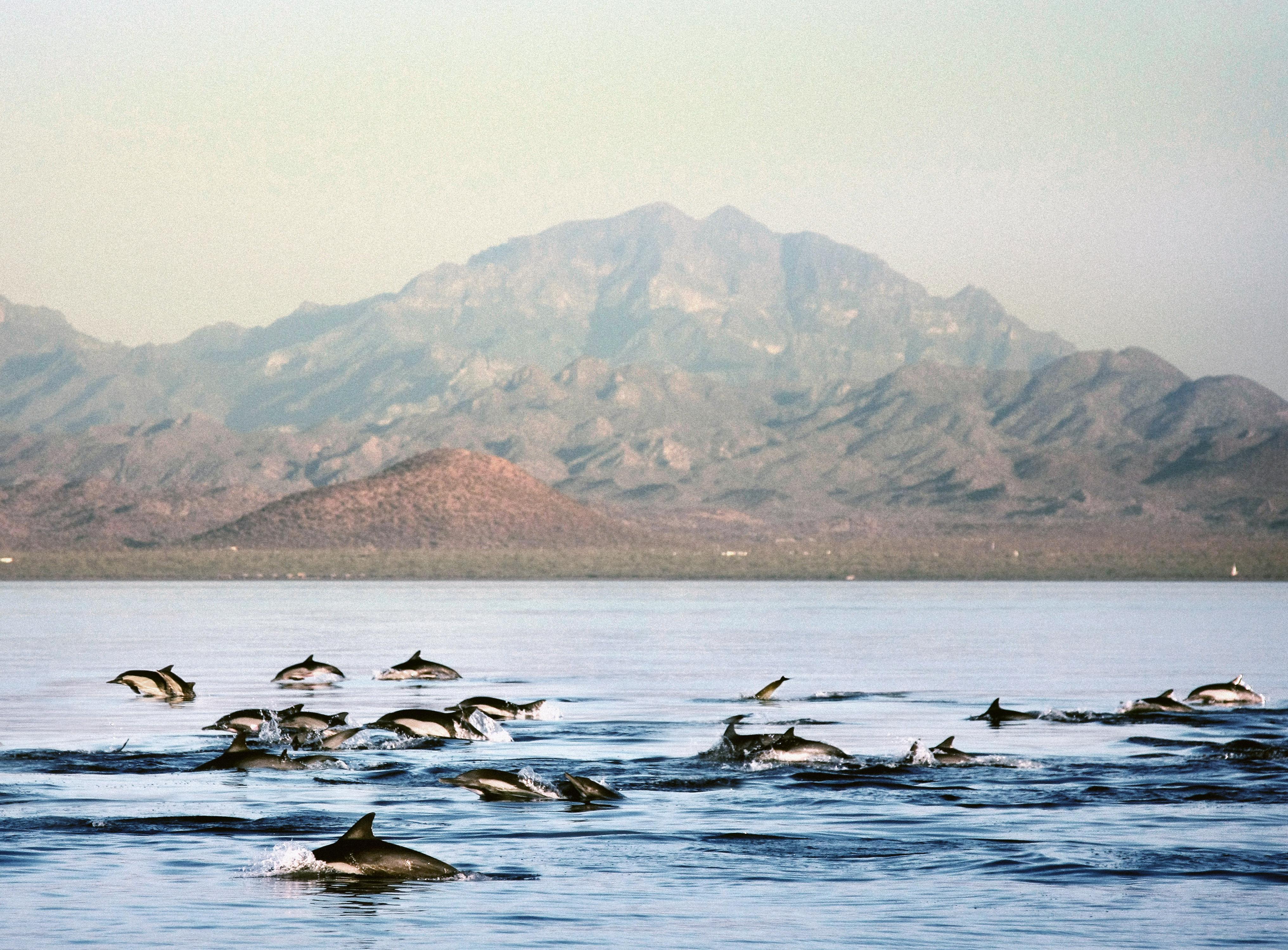 Loreto Bay Golf & At Baja 5* Loreto (Baja California Sur)