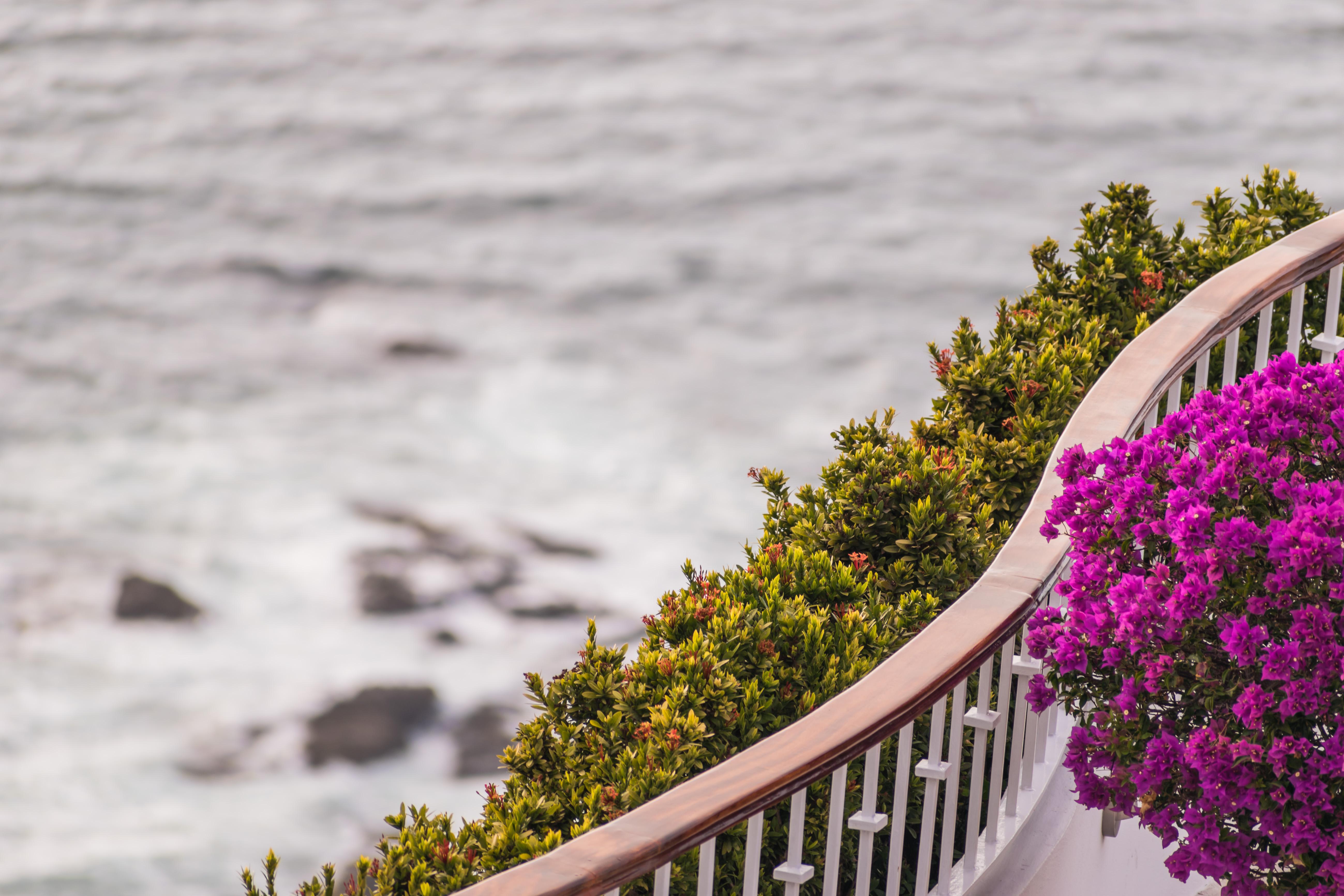Grand Miramar Luxury & Residences (adults Only) Resort Puerto Vallarta