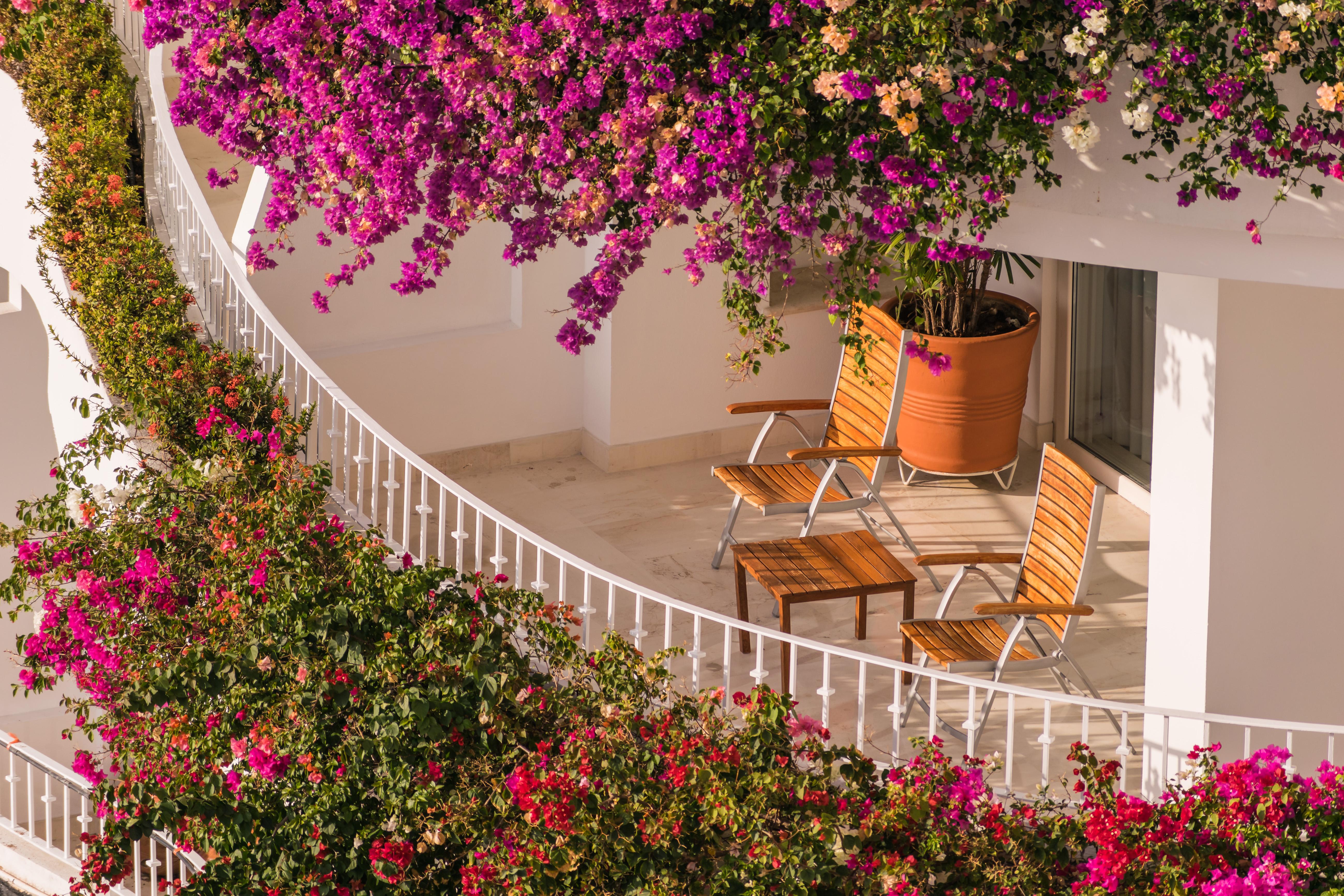 Grand Miramar Luxury & Residences (adults Only) Puerto Vallarta