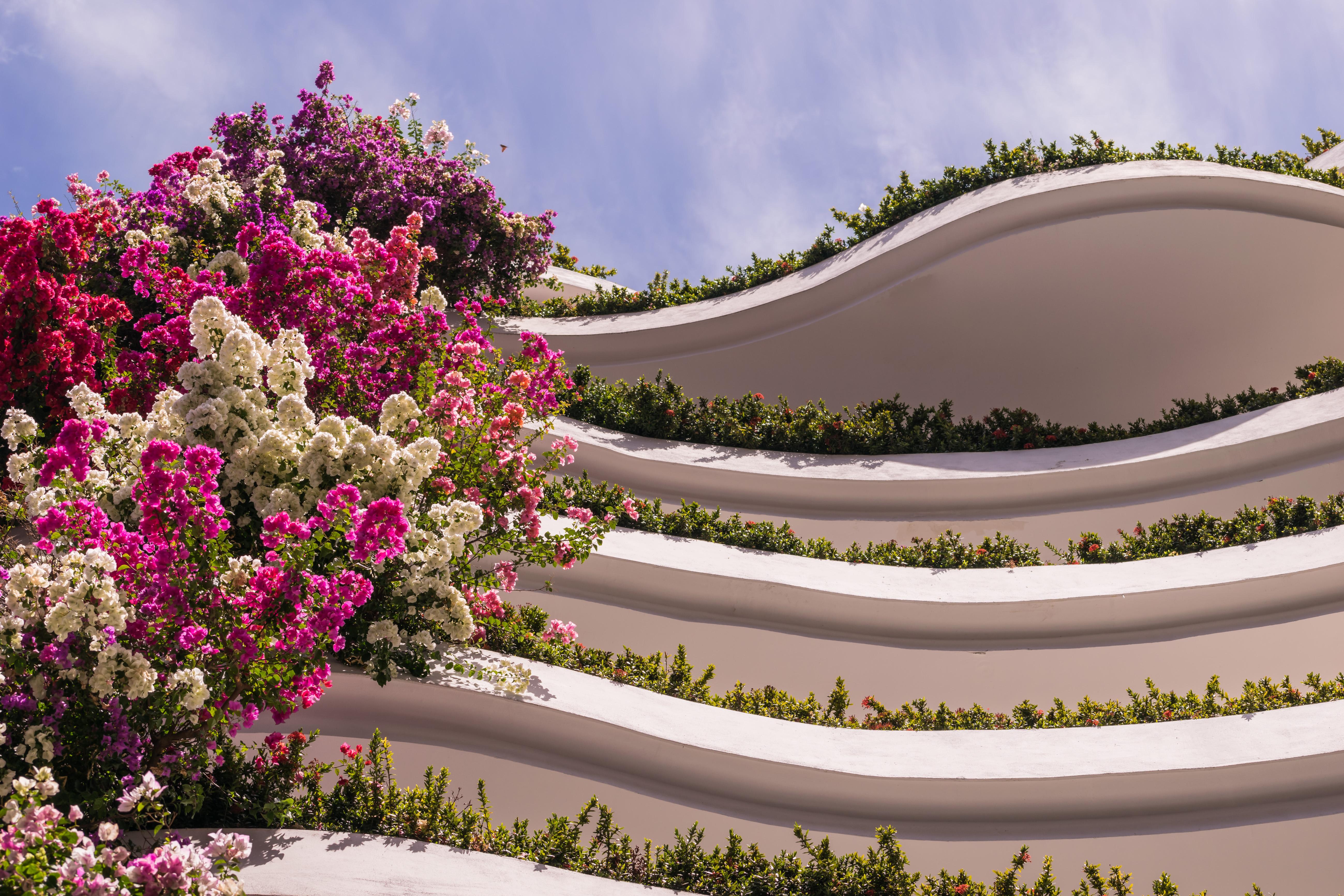 Grand Miramar Luxury & Residences (adults Only) 5* Puerto Vallarta