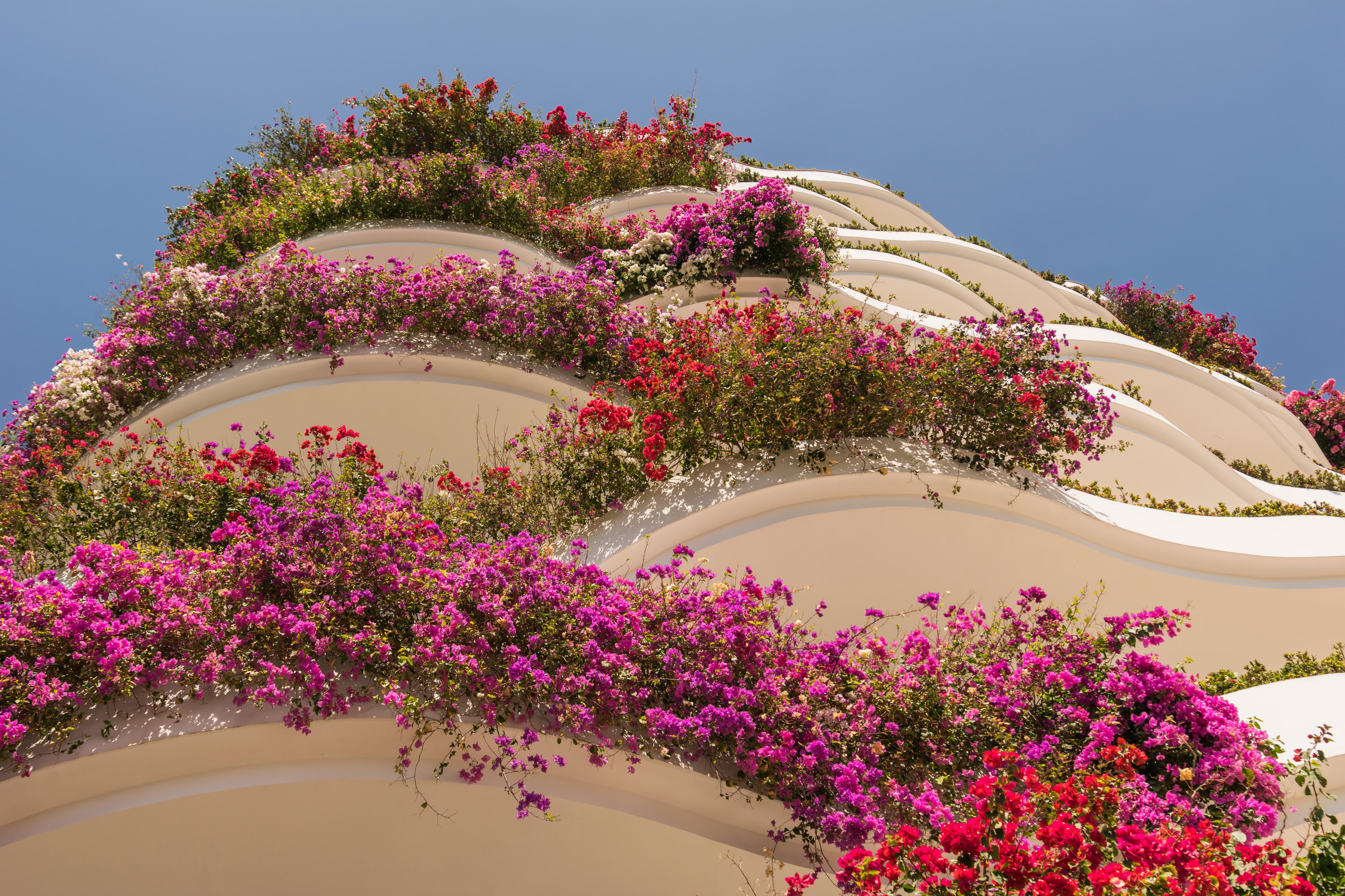 Resort Grand Miramar Luxury & Residences (adults Only) 5*