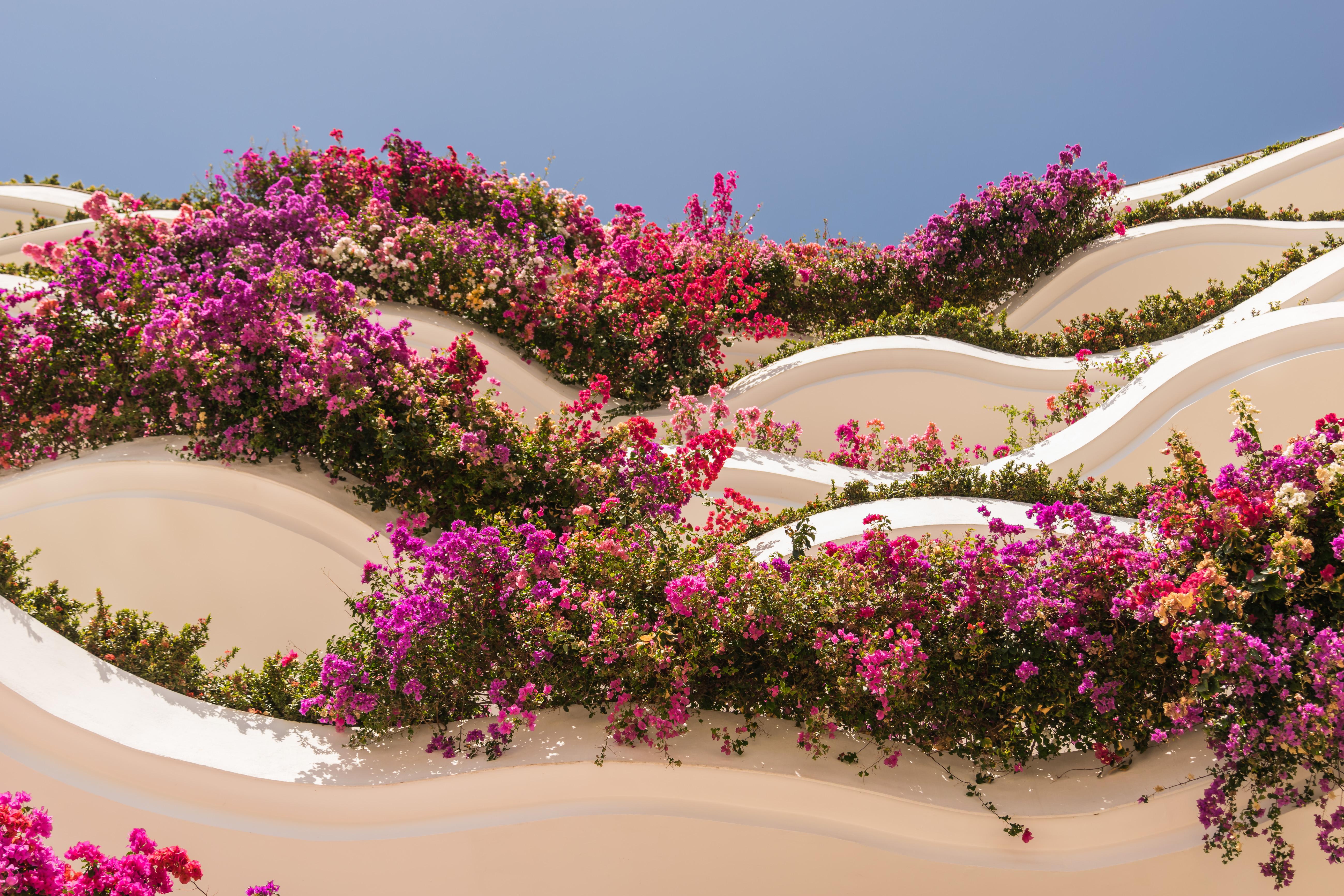 Grand Miramar Luxury & Residences (adults Only) Puerto Vallarta
