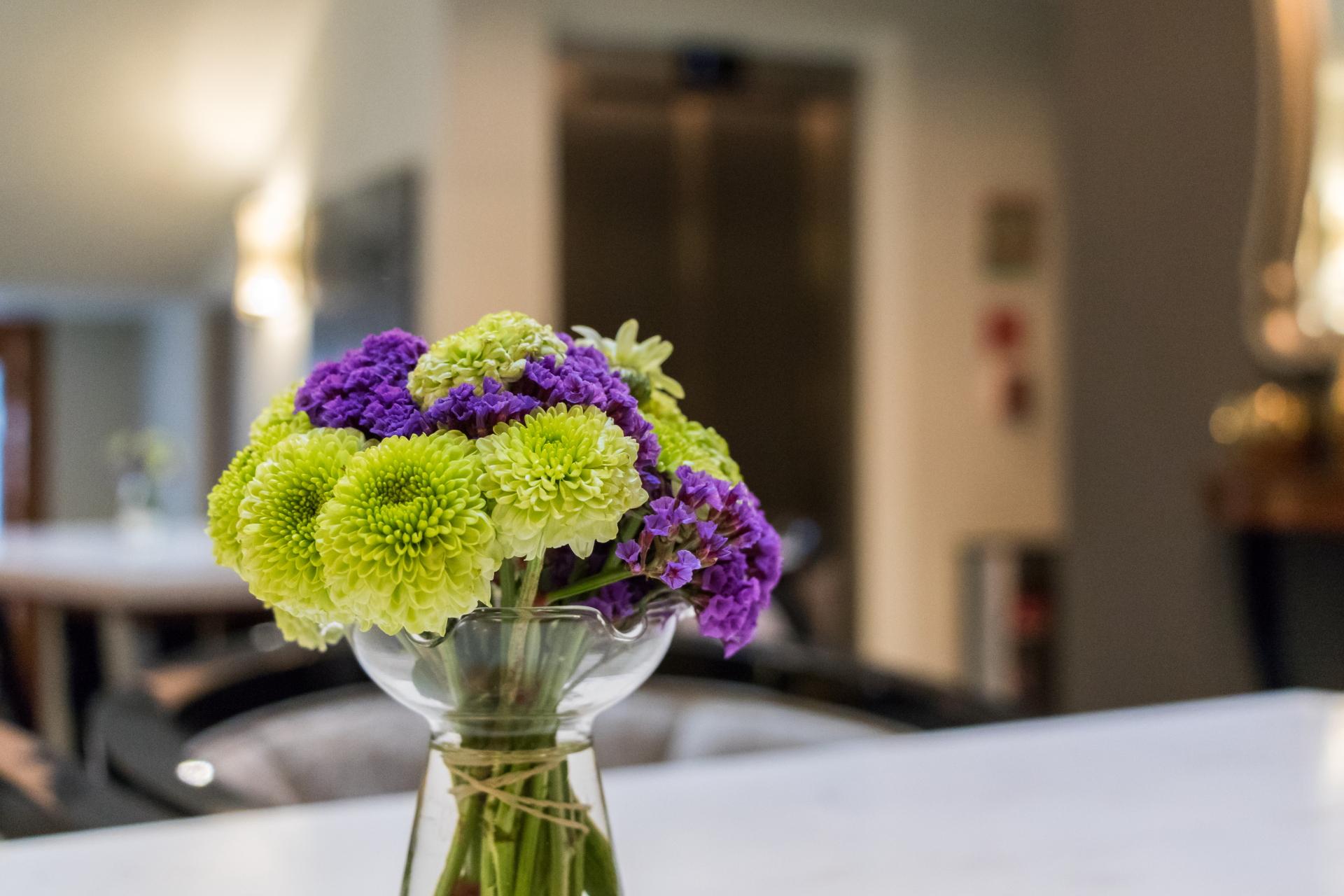 Hotel Casa Mali By Dominion Boutique Mexico City