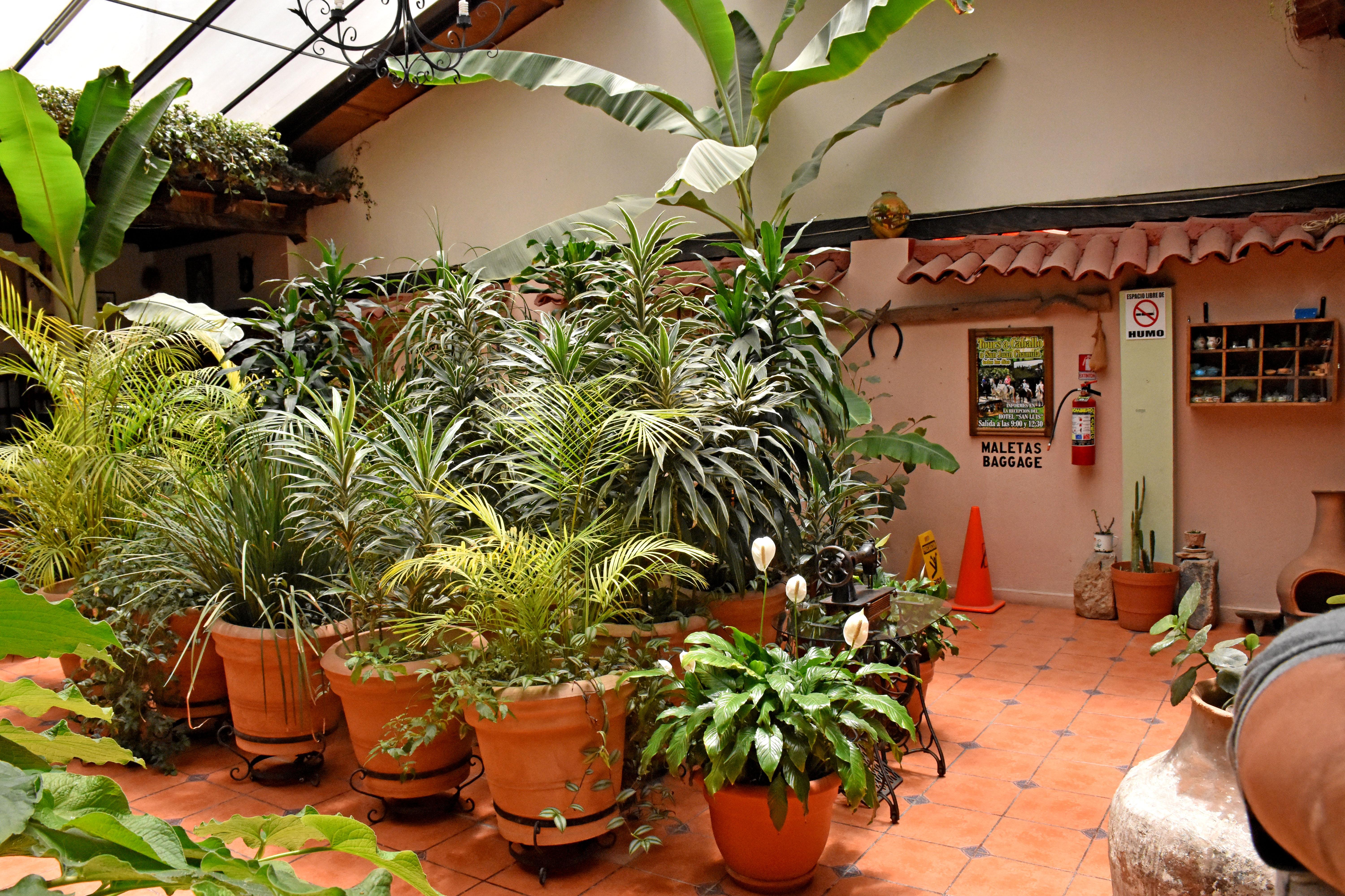 San Luis Hotel 3*