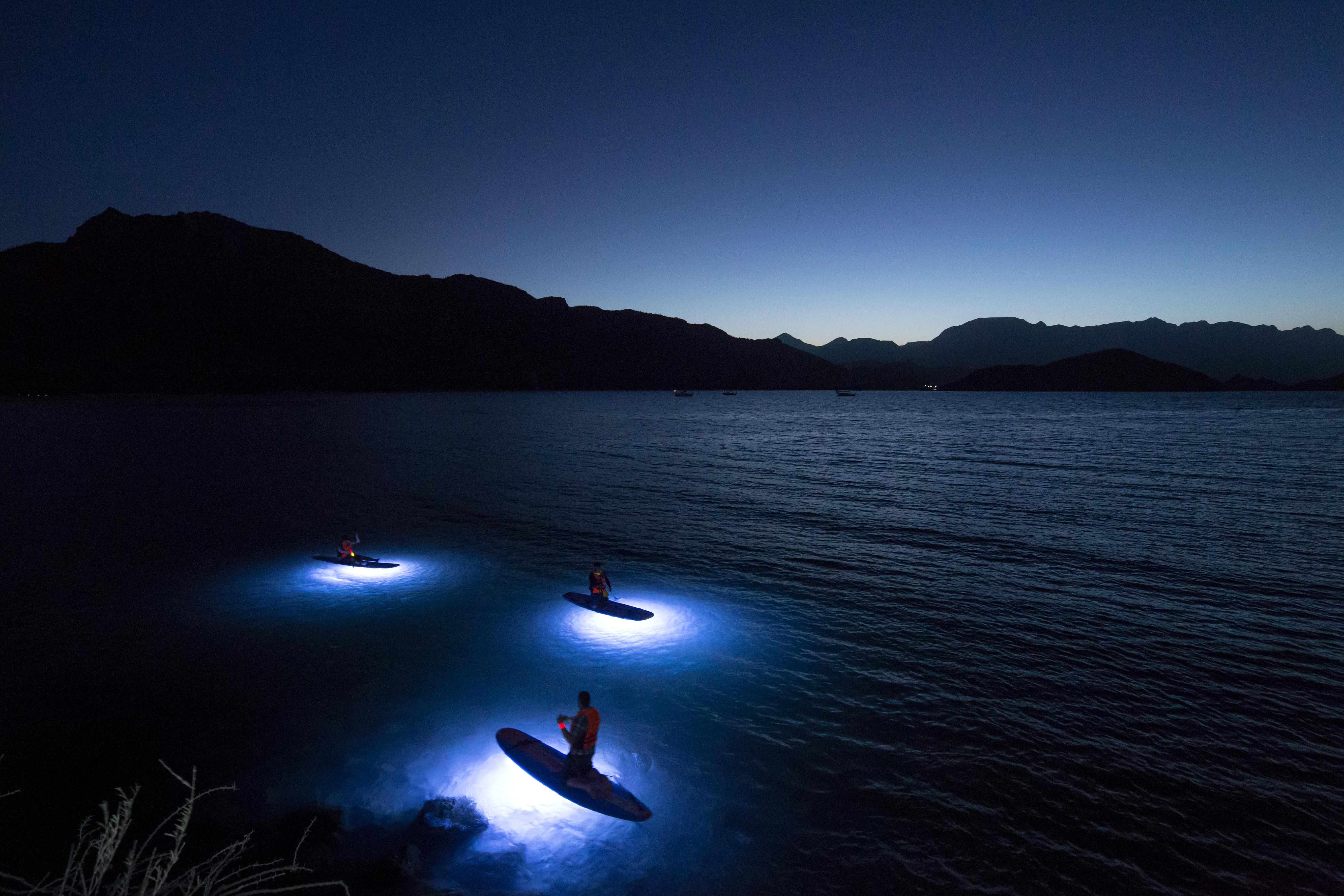 Del Palmar At The Islands Of Loreto 5*