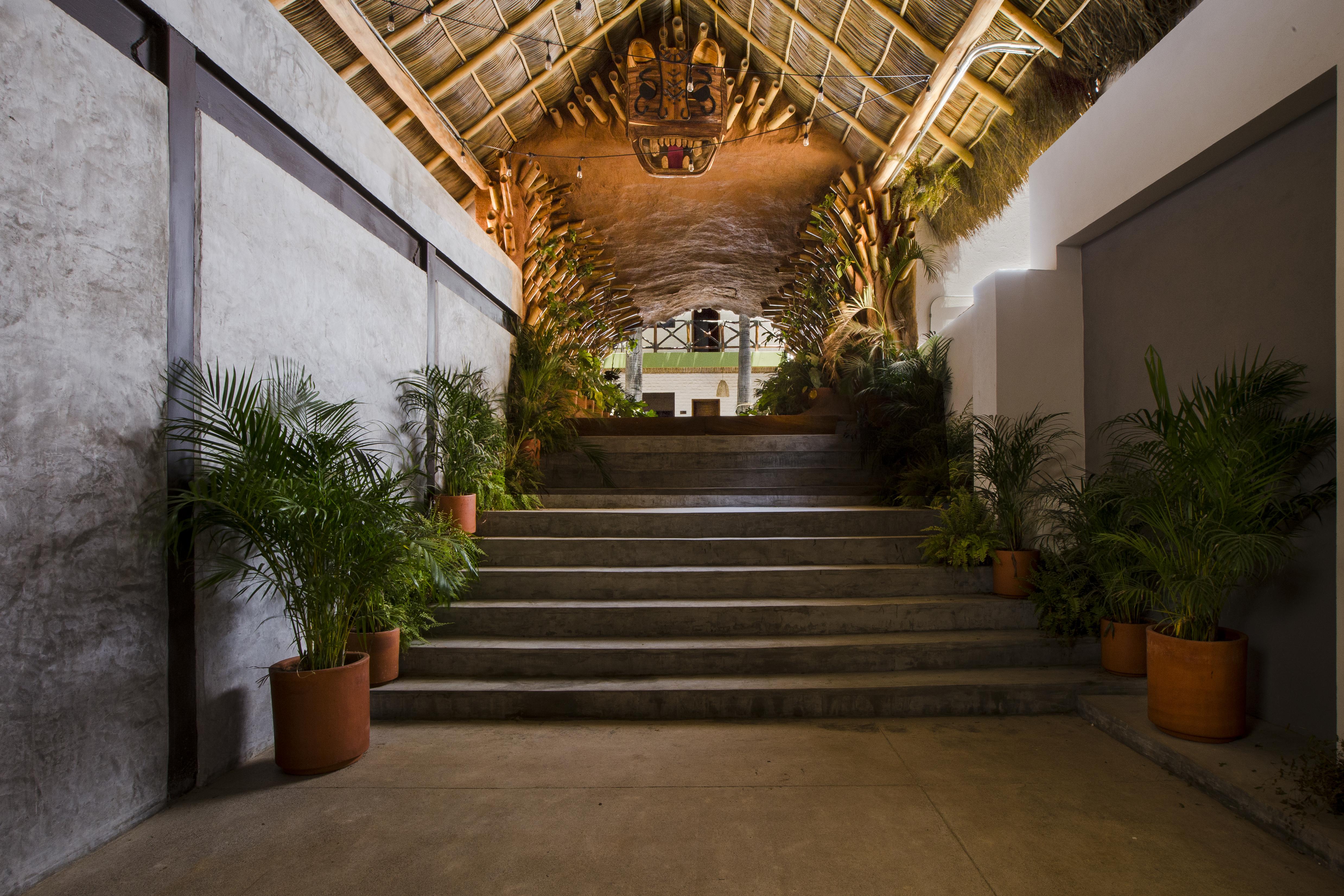 Selina 4* Sayulita