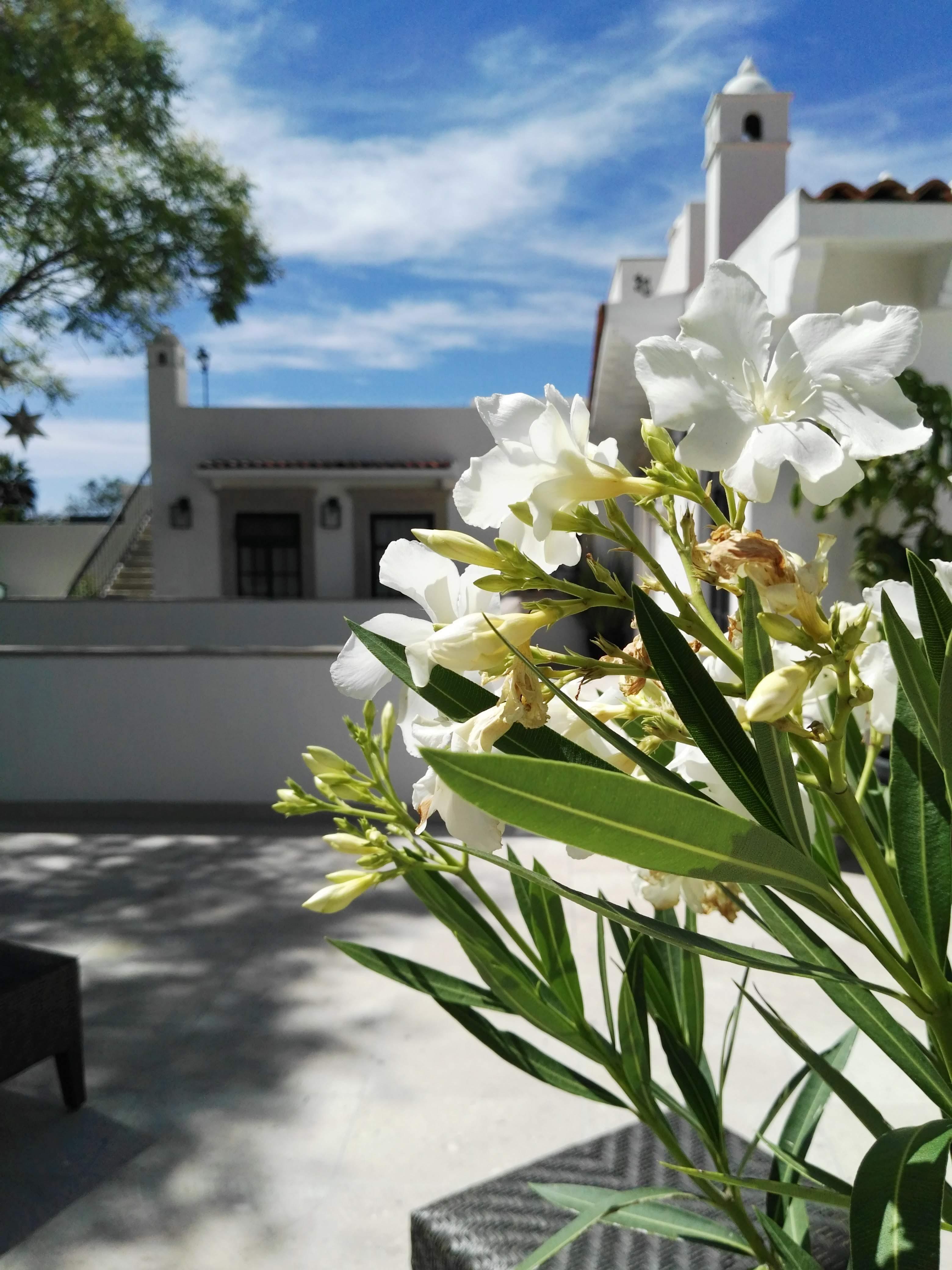 Casa Lani Luxury San Miguel de Allende