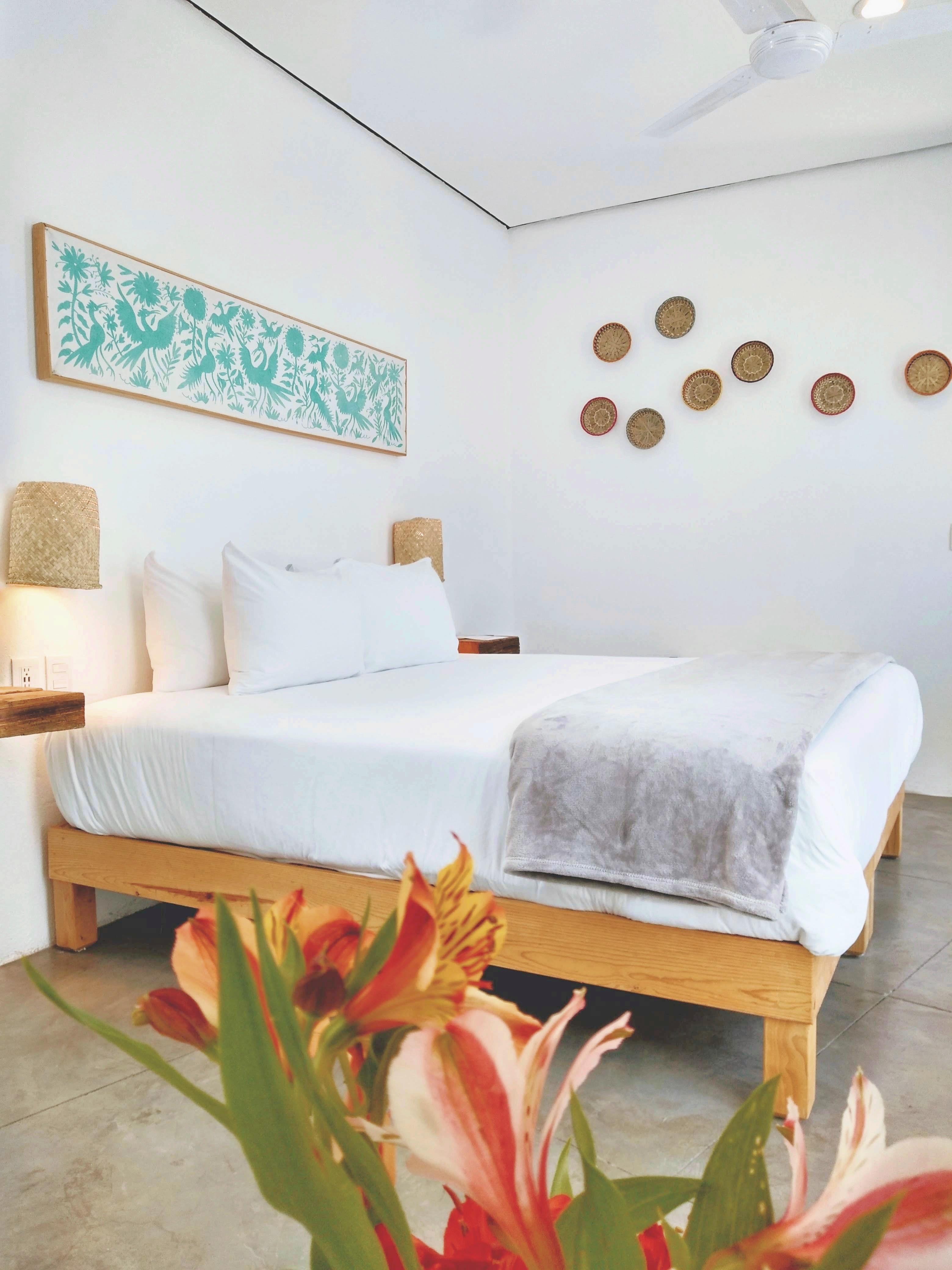 Mama Carlota Hotel Queretaro