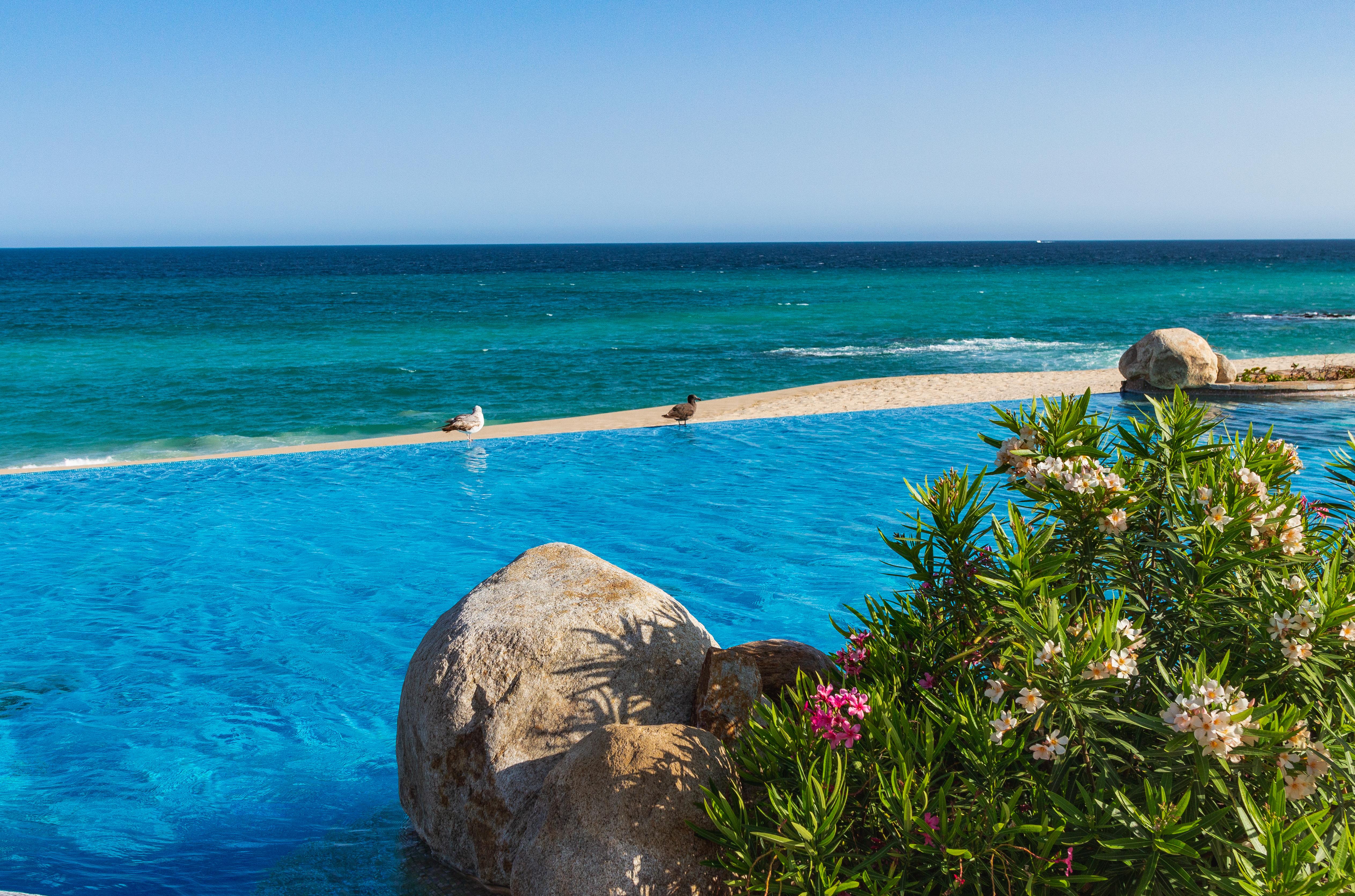 Hotel La Valencia & Cabos