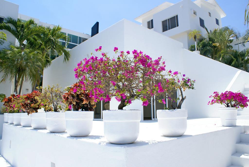 Isha Judd Mexico - Meditacion, Yoga, Mindfulness
