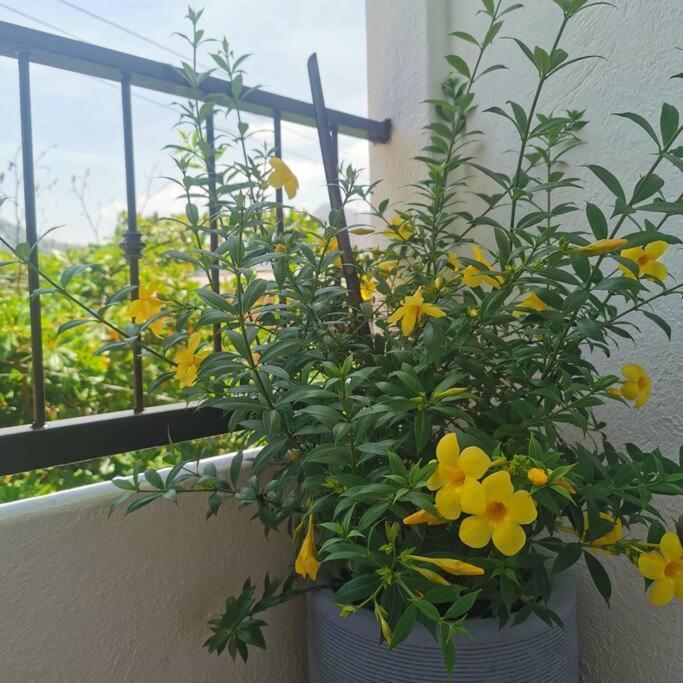 1 Bedroom With Ac , Tv , Wi-fi Near Dt And