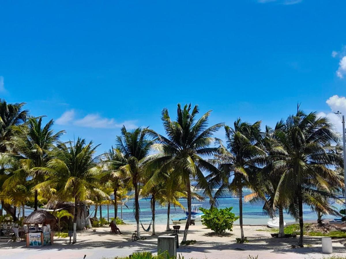 Palmeras De Lodge *