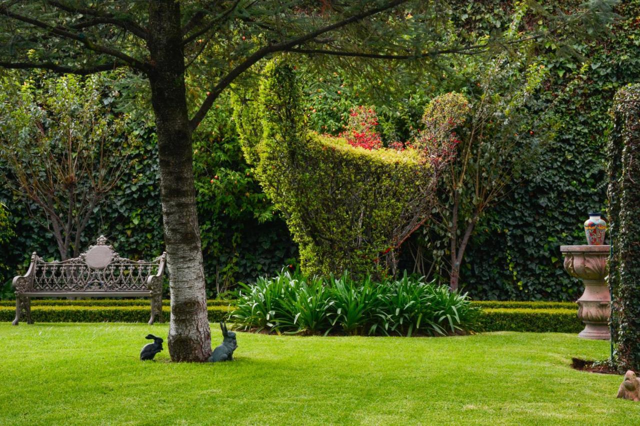 Quinta Del Rey Hotel 4*