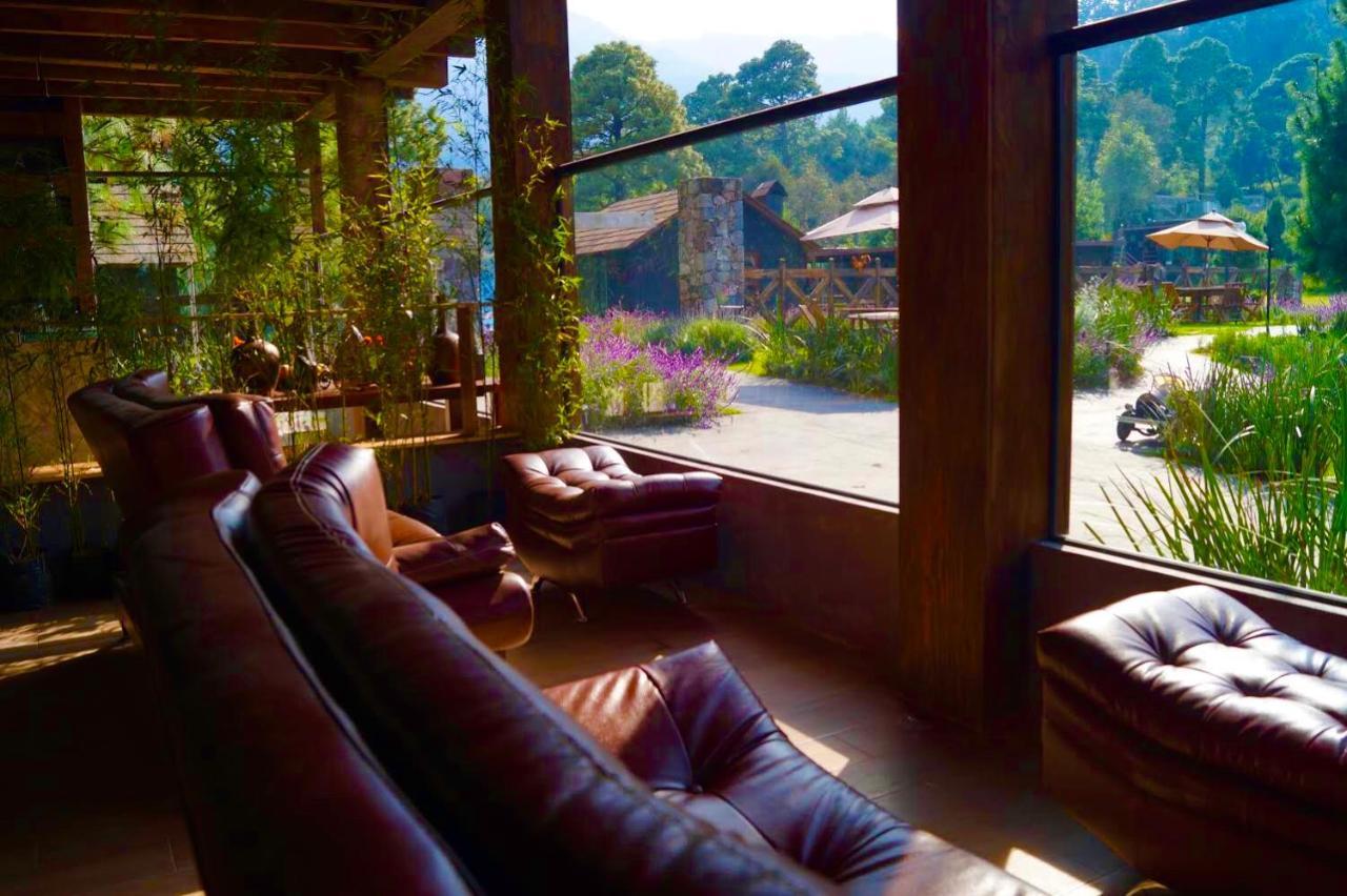 Organico Boutique Hotel Mexico City