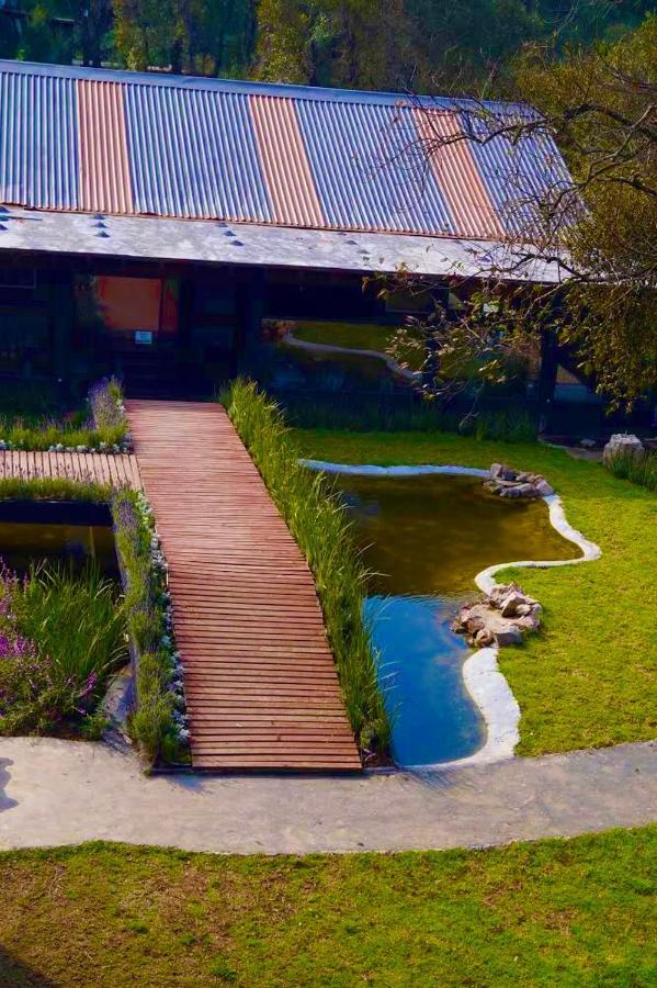 Hotel Organico Boutique